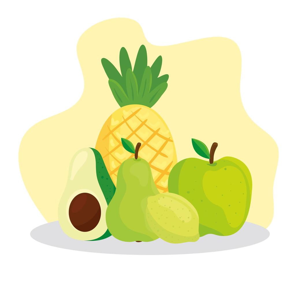 Cute tropical fresh fruits and avocado vector