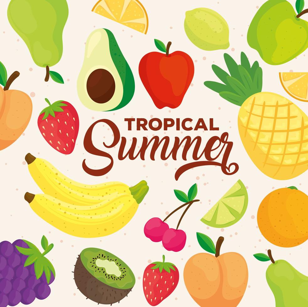 banner de verano tropical, con patrón de frutas frescas vector