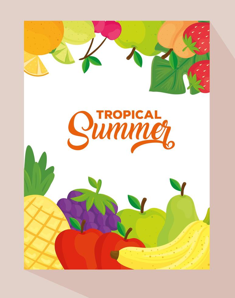 banner de verano tropical con frutas frescas vector