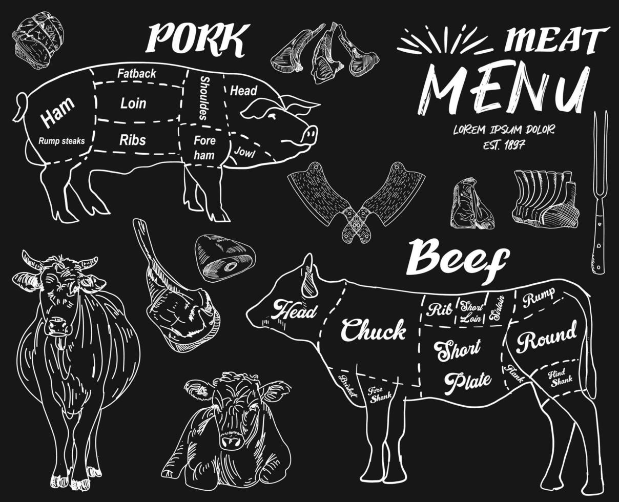 Butcher shop blackboard Cut of Beef Meat. vector