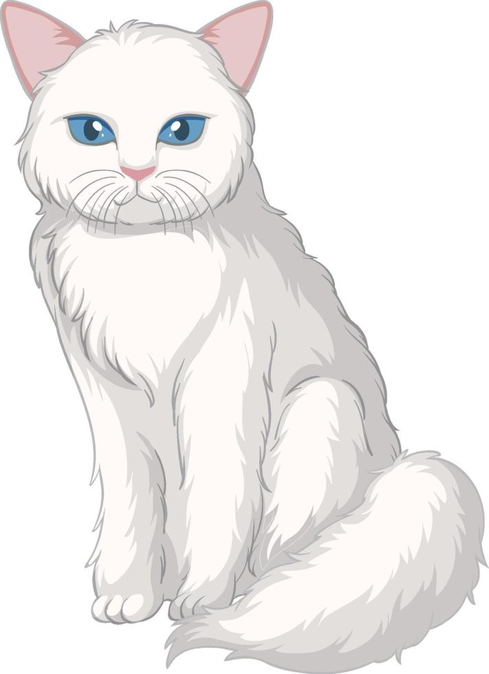 Lindo gato blanco sentado solo aislado sobre fondo blanco. vector