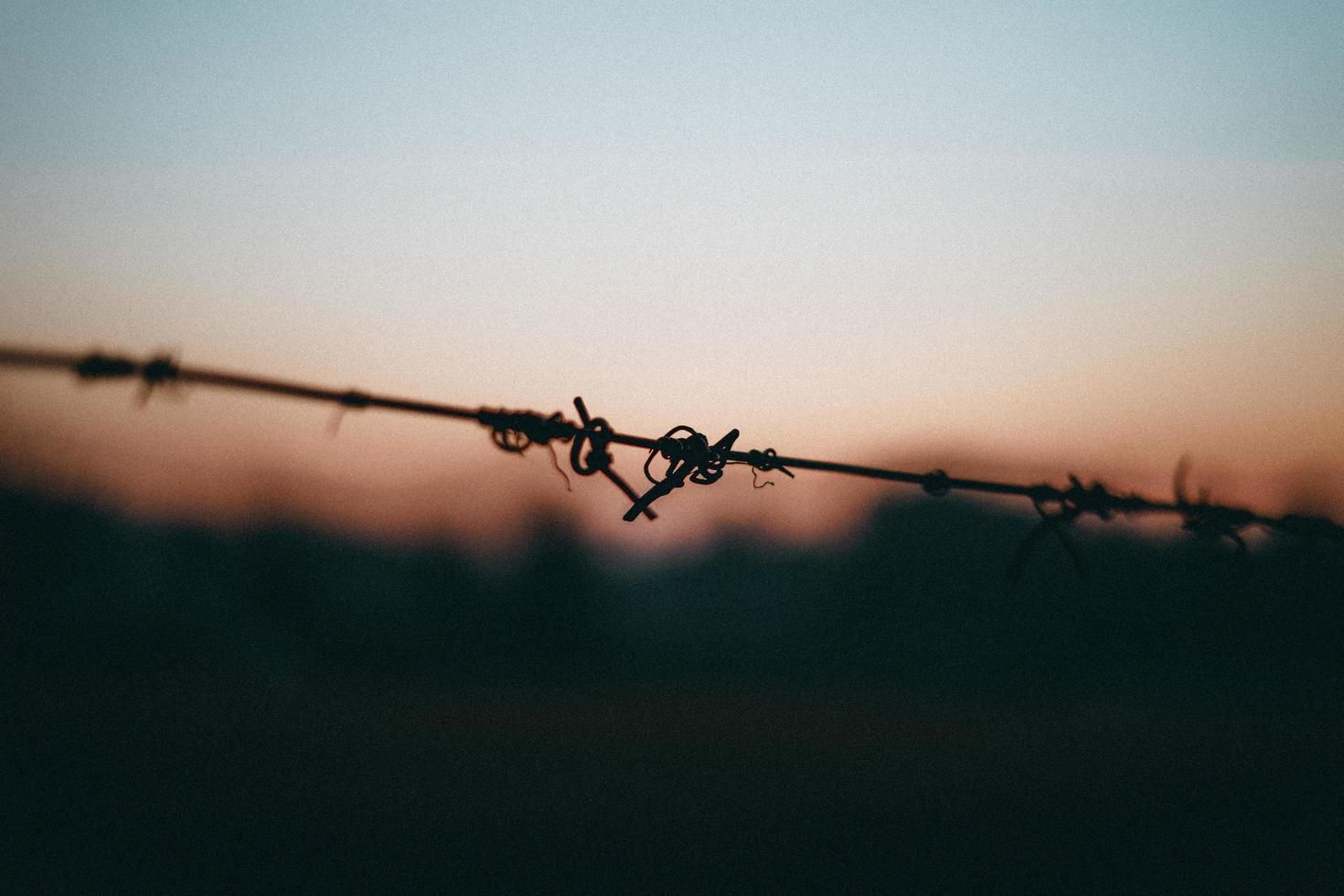 Barbed wire film aesthetic photo