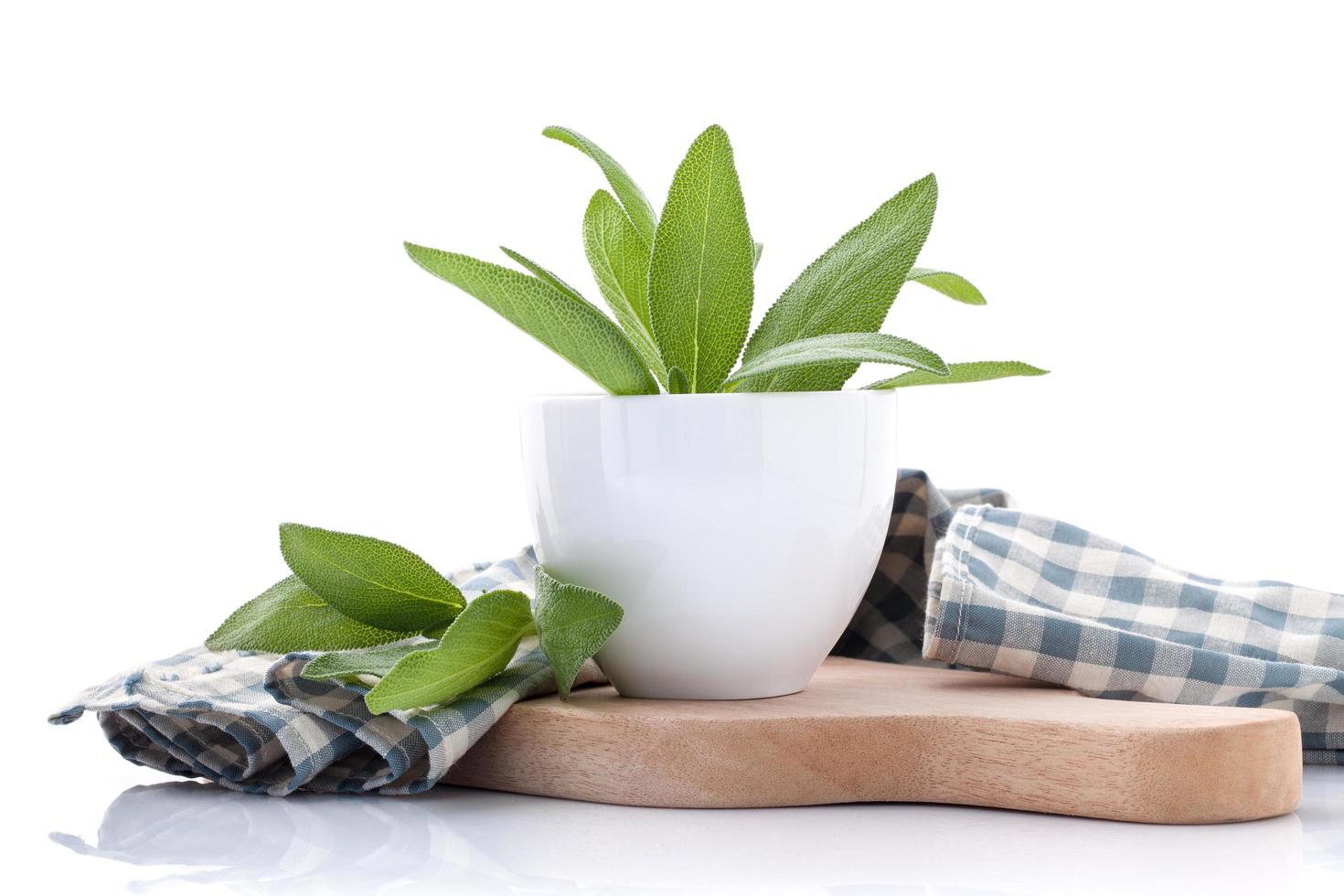 Sage in a bowl photo