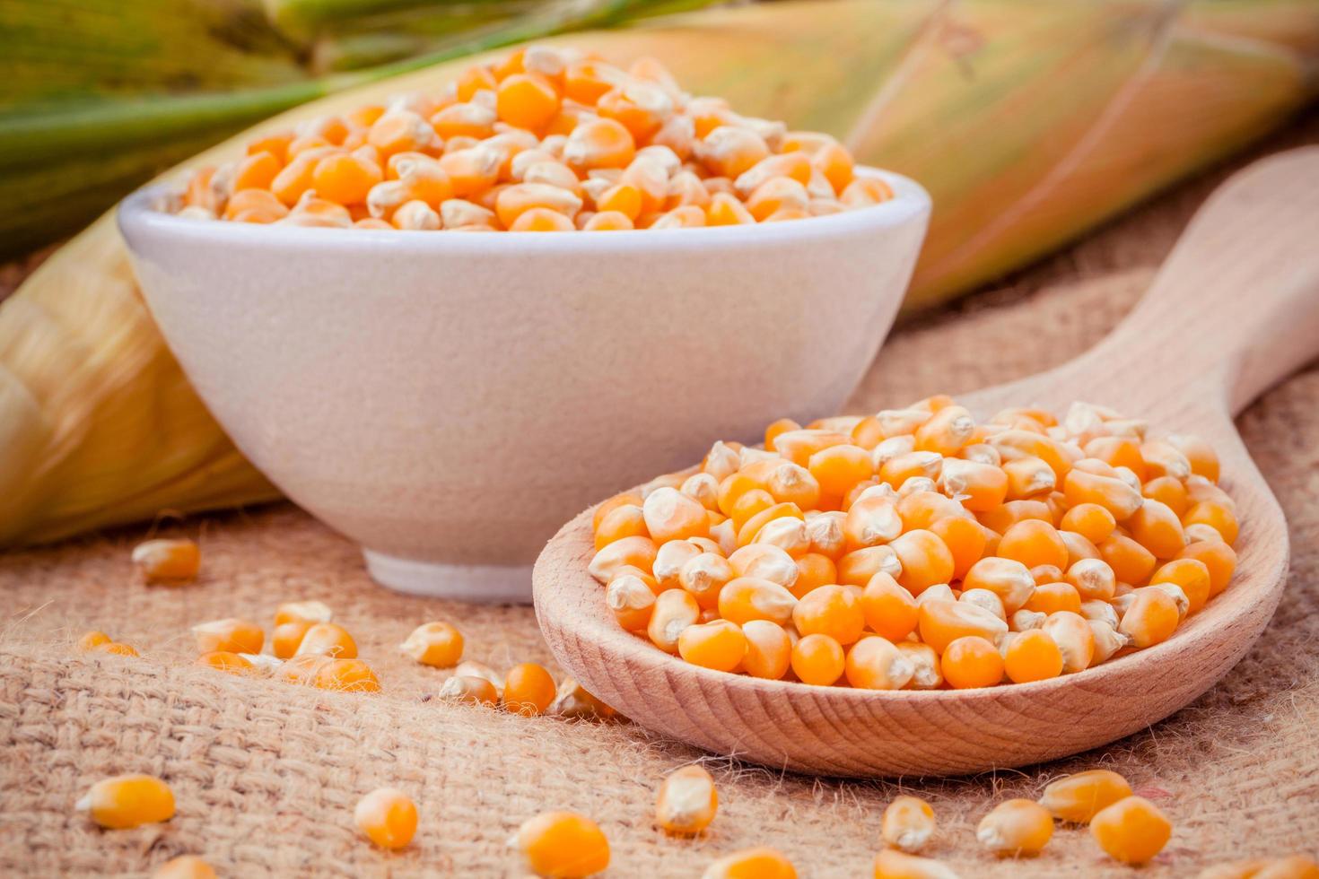 Close-up of corn in a bowl and on a spoon photo