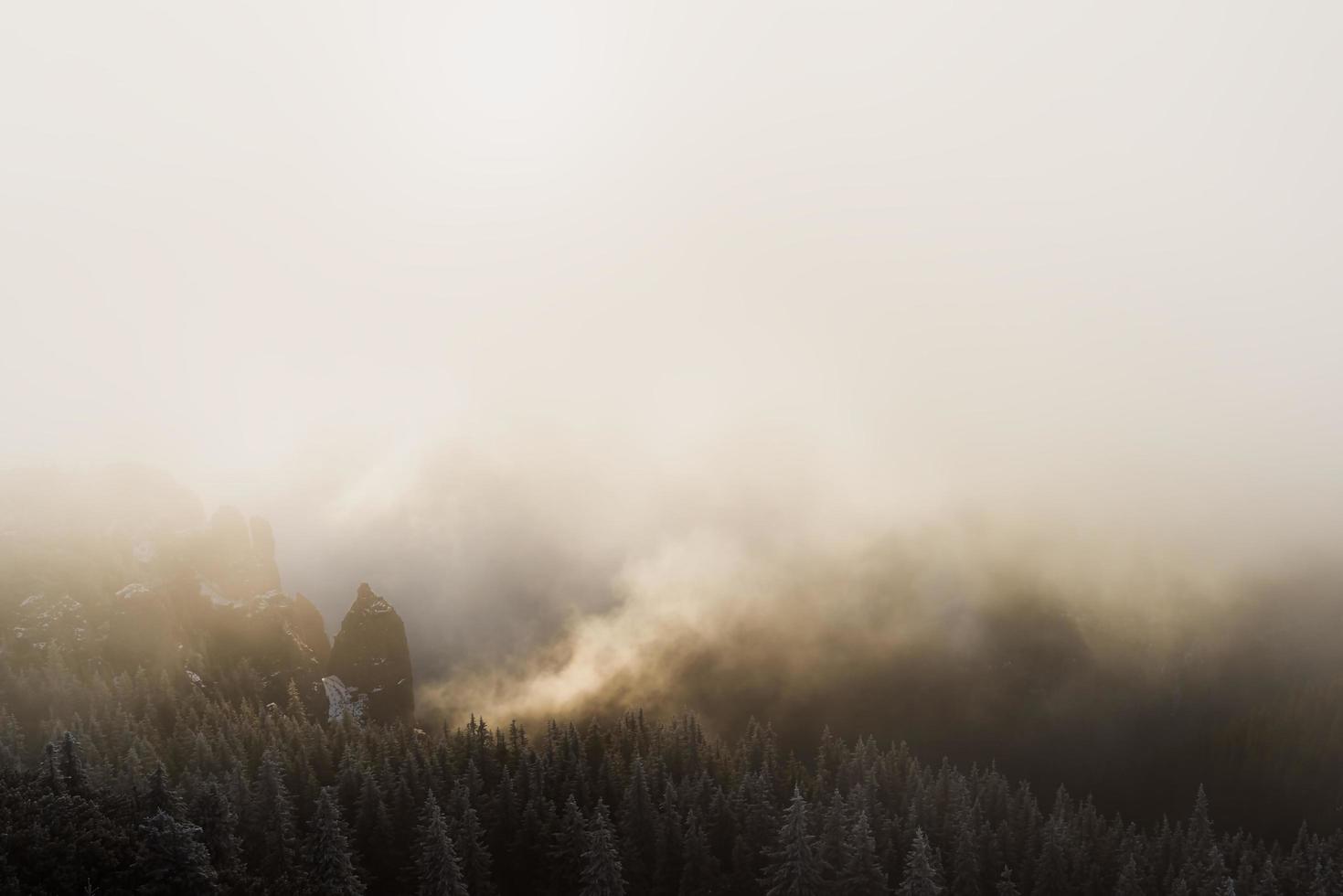 Moody weather at sunrise photo