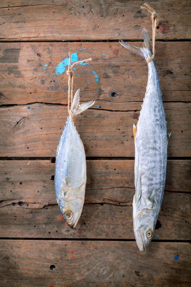 Fish being dried photo