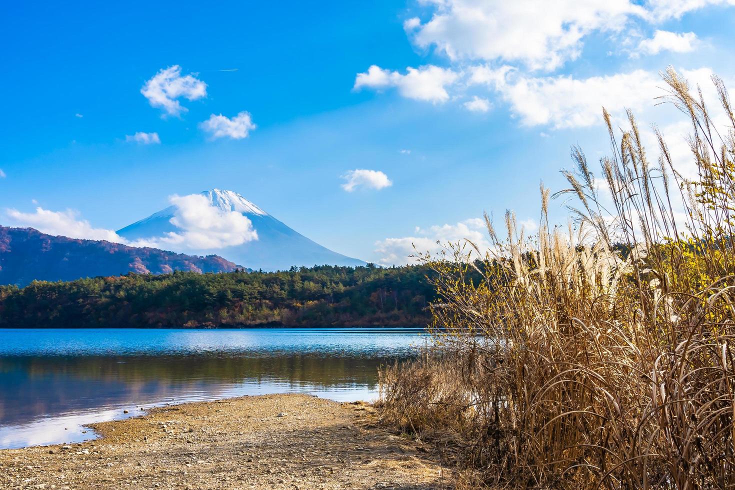 paisaje en mt. fuji en japón en otoño foto