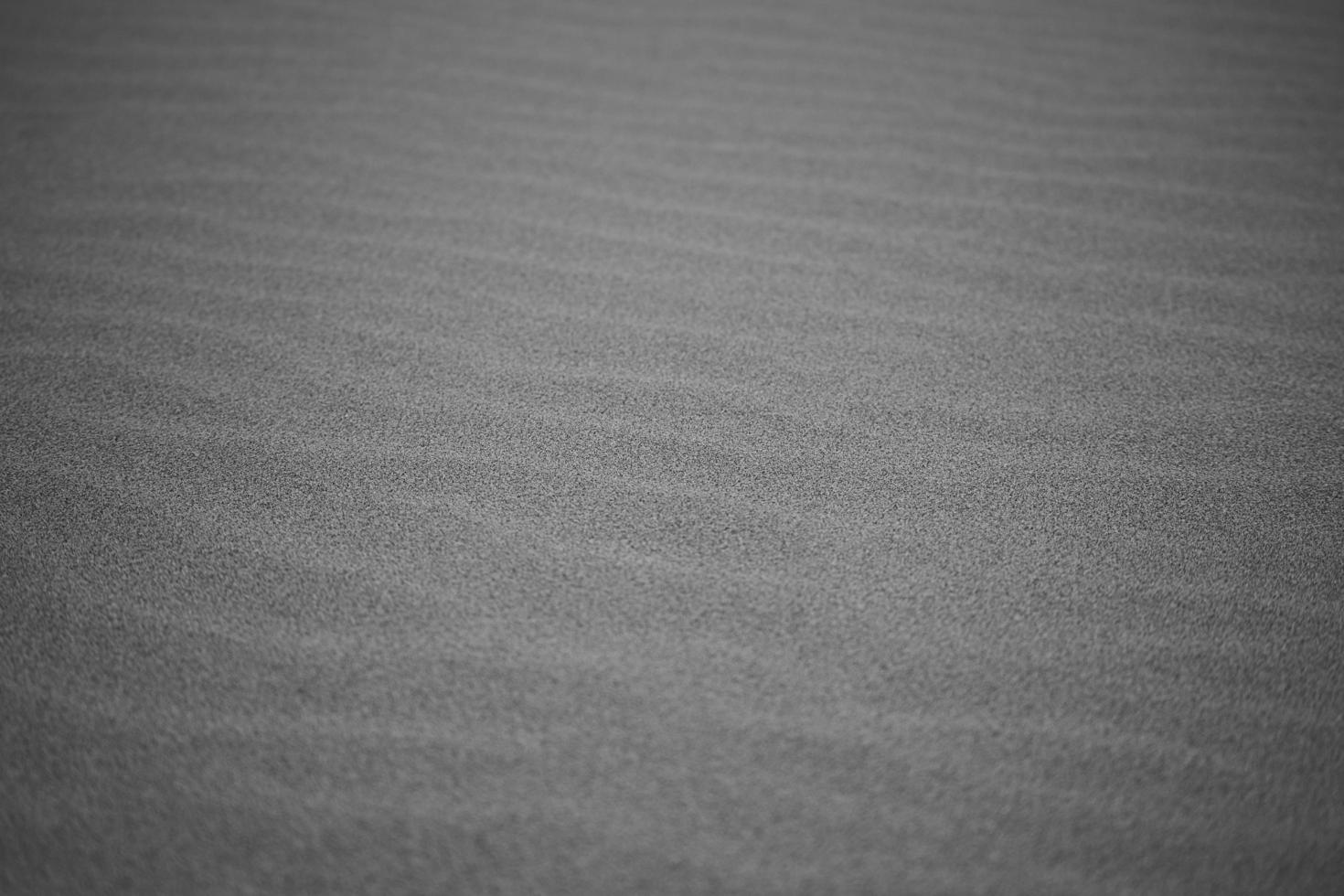 Lines in the sand photo