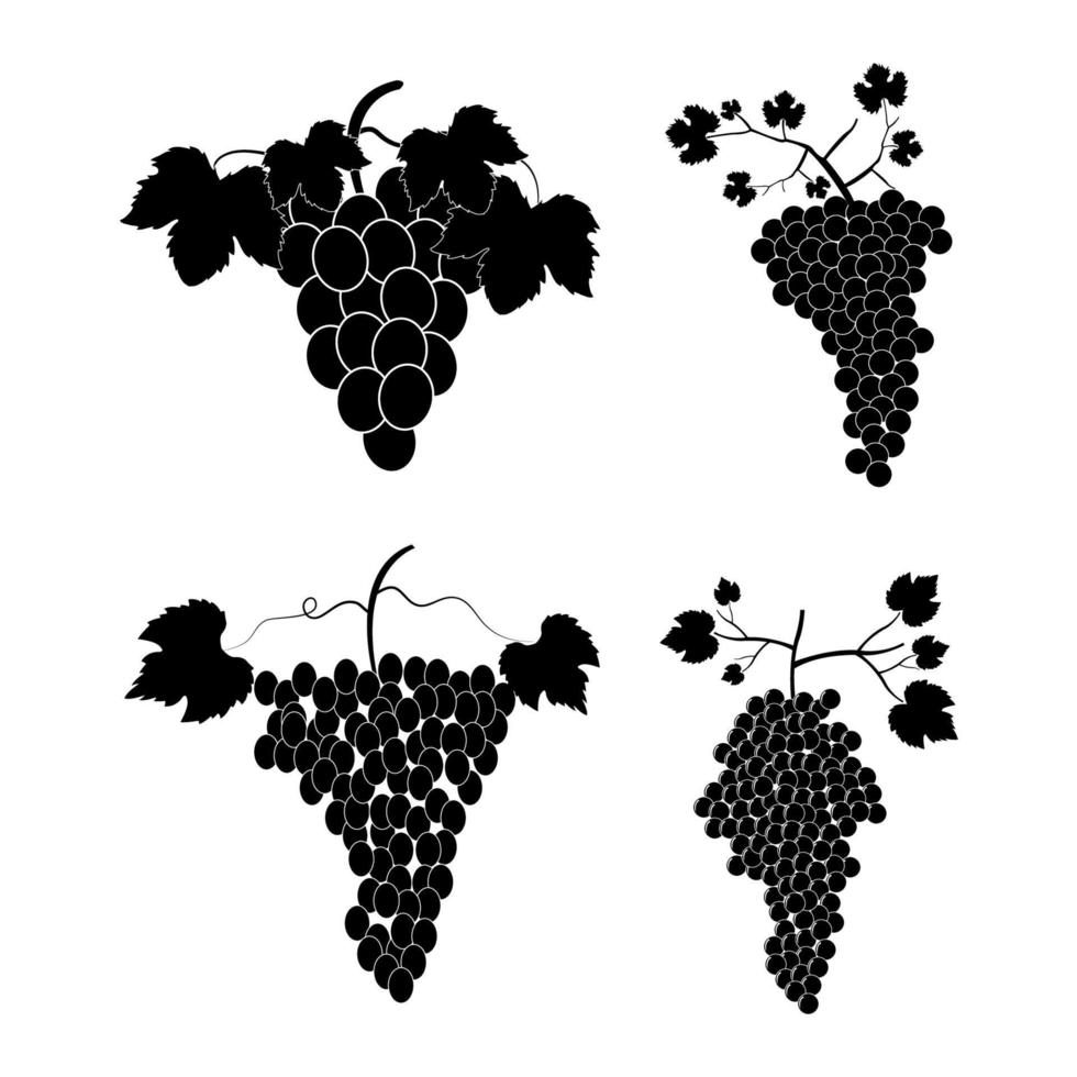 Set Of Grapes vector