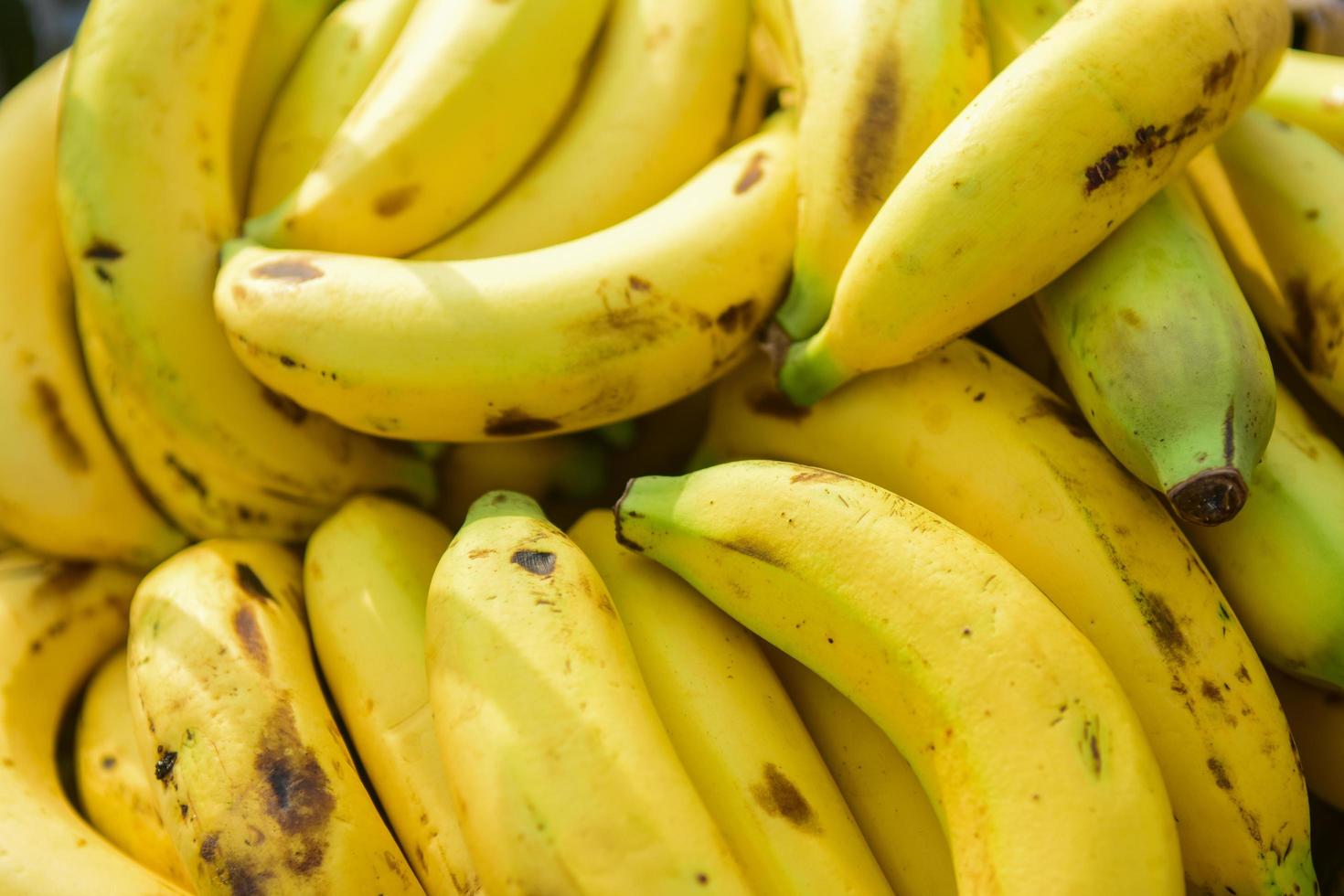 Banana, close up view photo