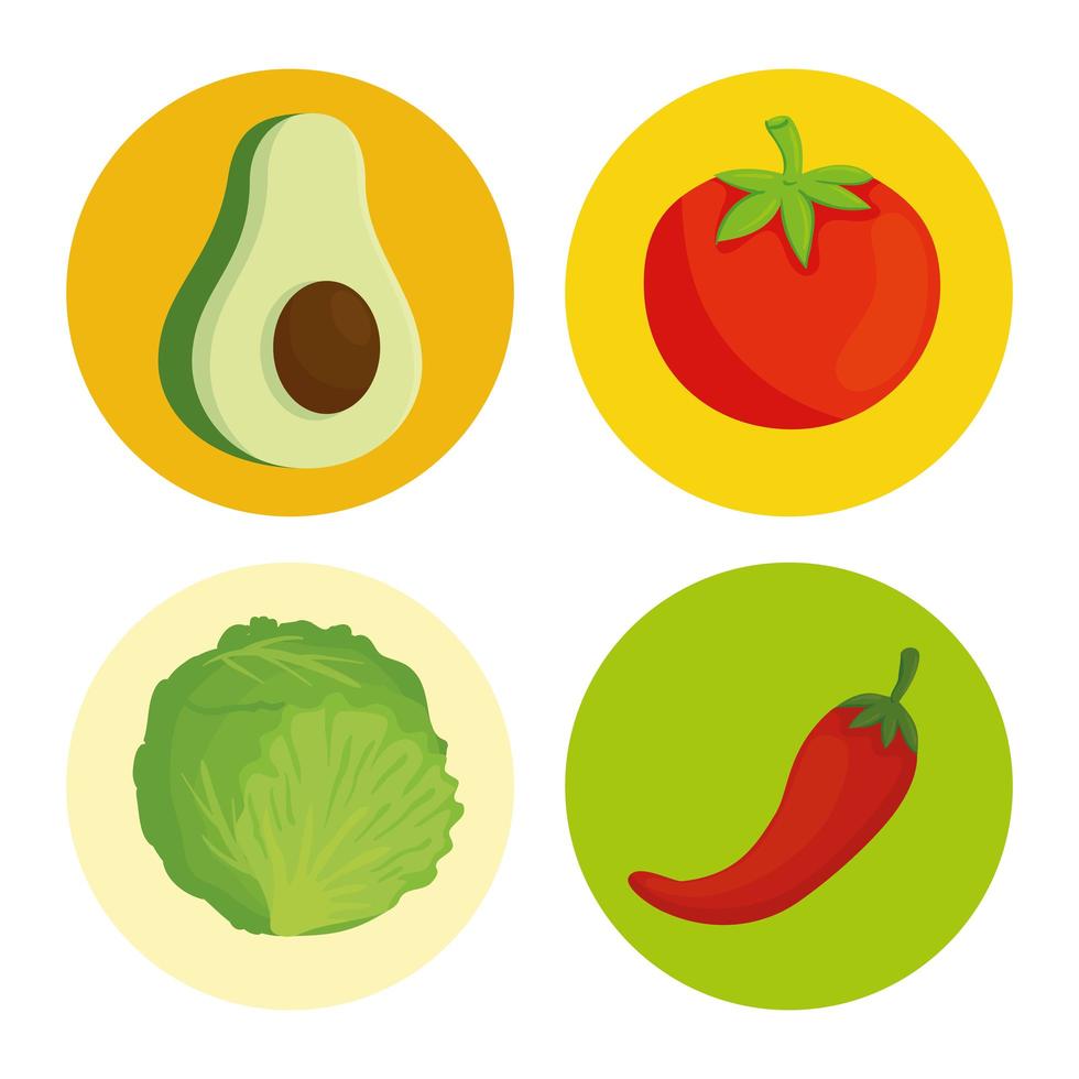 fresh and healthy vegetables on round frames vector