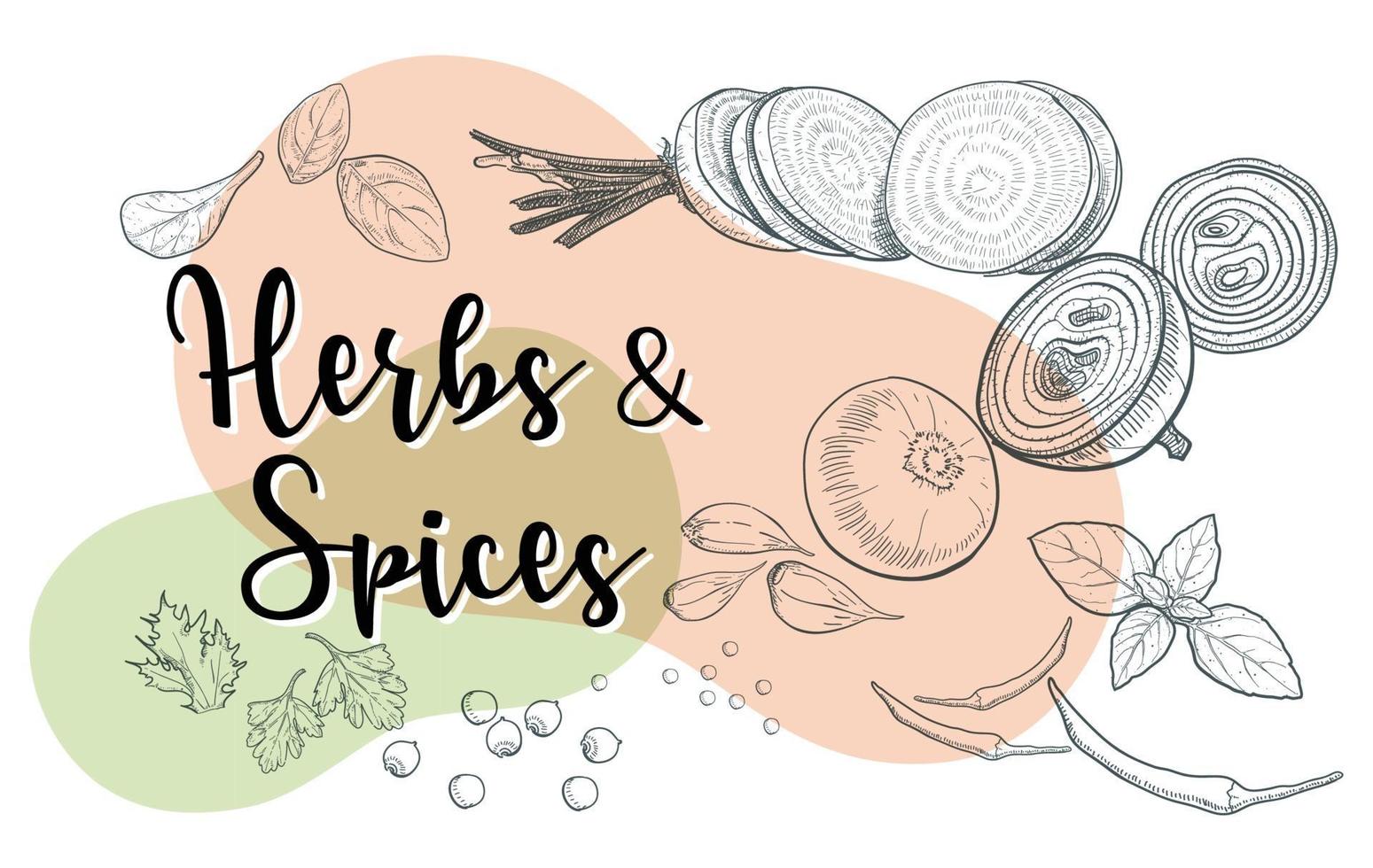 Natural herbs and spices to prepare healthy meals vector