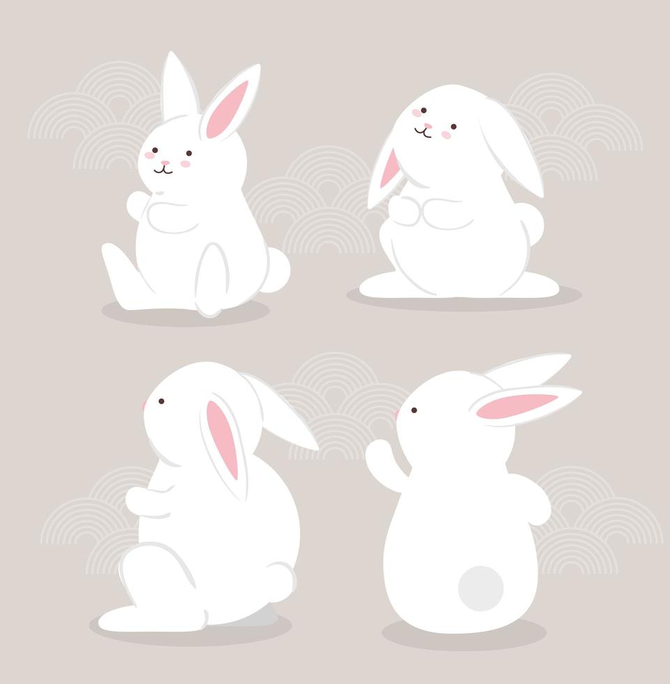 set of white rabbits vector