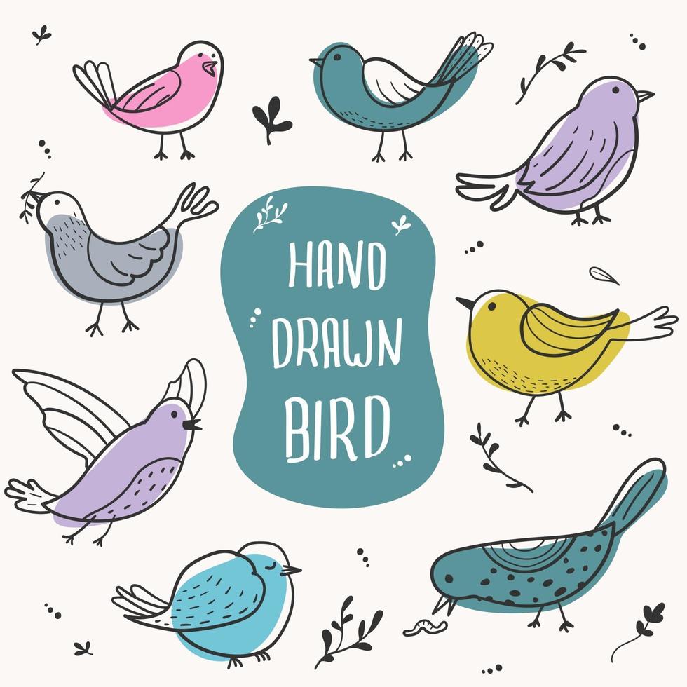 conjunto de pájaros dibujados a mano vector