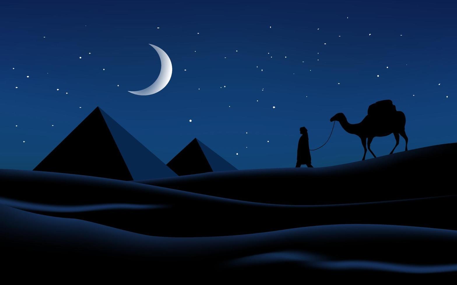 ilustración de la noche del desierto árabe vector