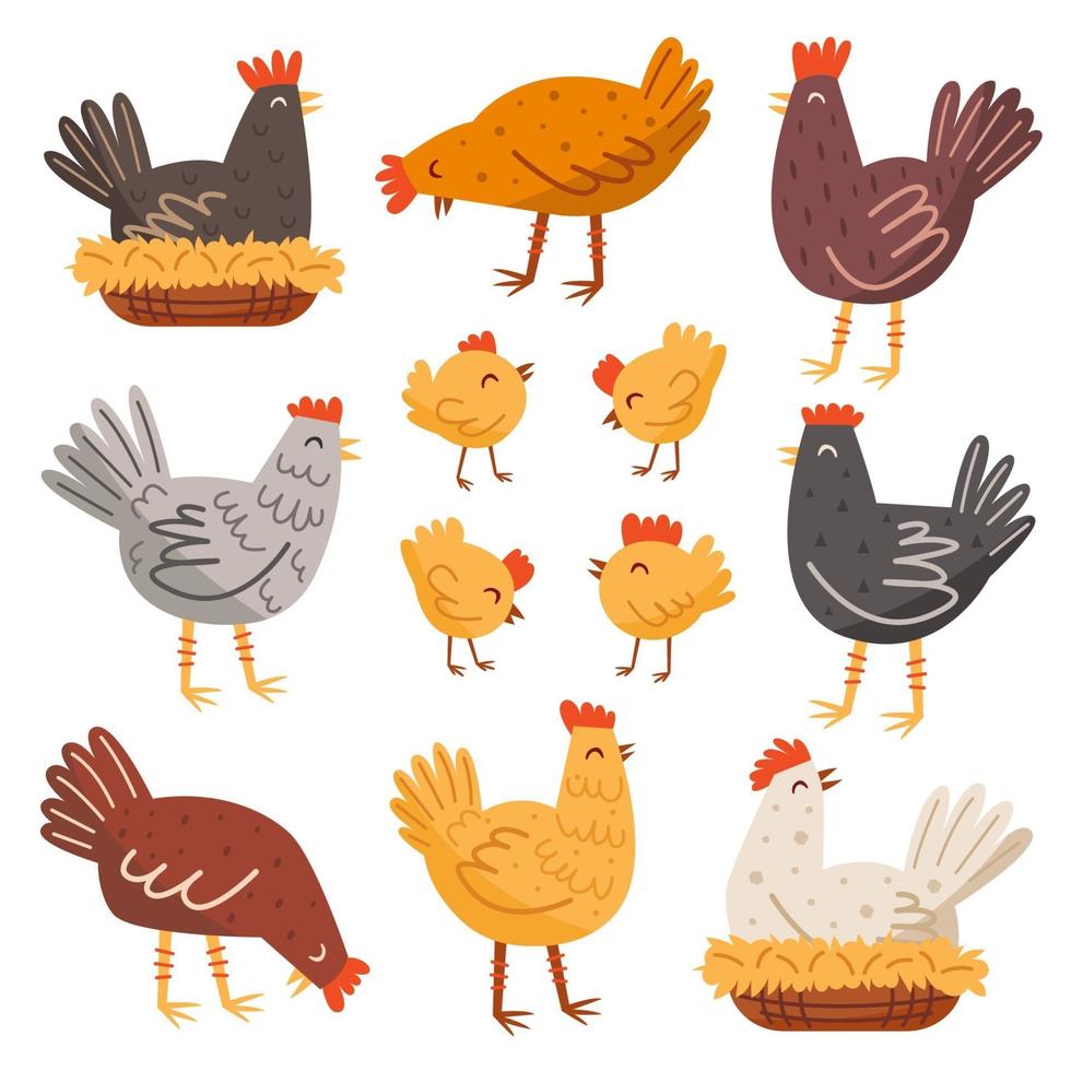 Hen, bird, cock, chicken set. Farm, countryside life. Eco food production. vector