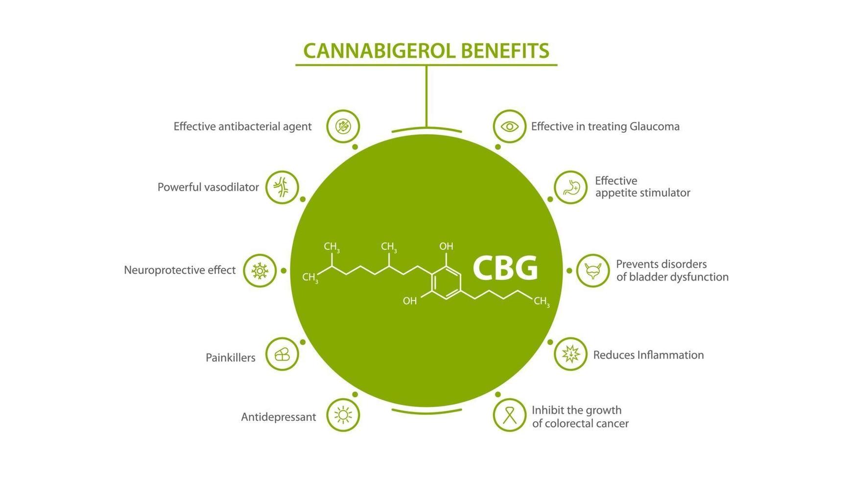 cartel informativo blanco de los beneficios del cannabigerol con beneficios con iconos y fórmula química del cannabigerol vector