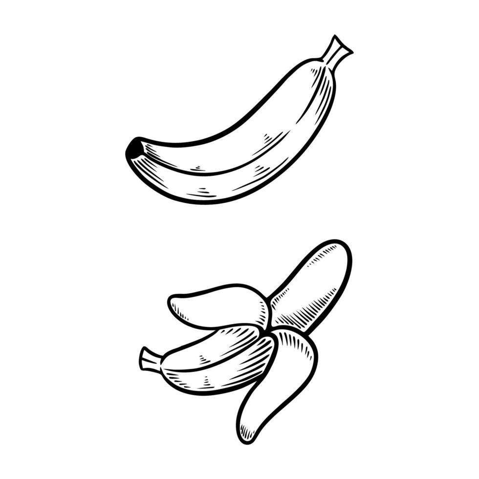 Ilustración de vector de conjunto de doodle de plátano