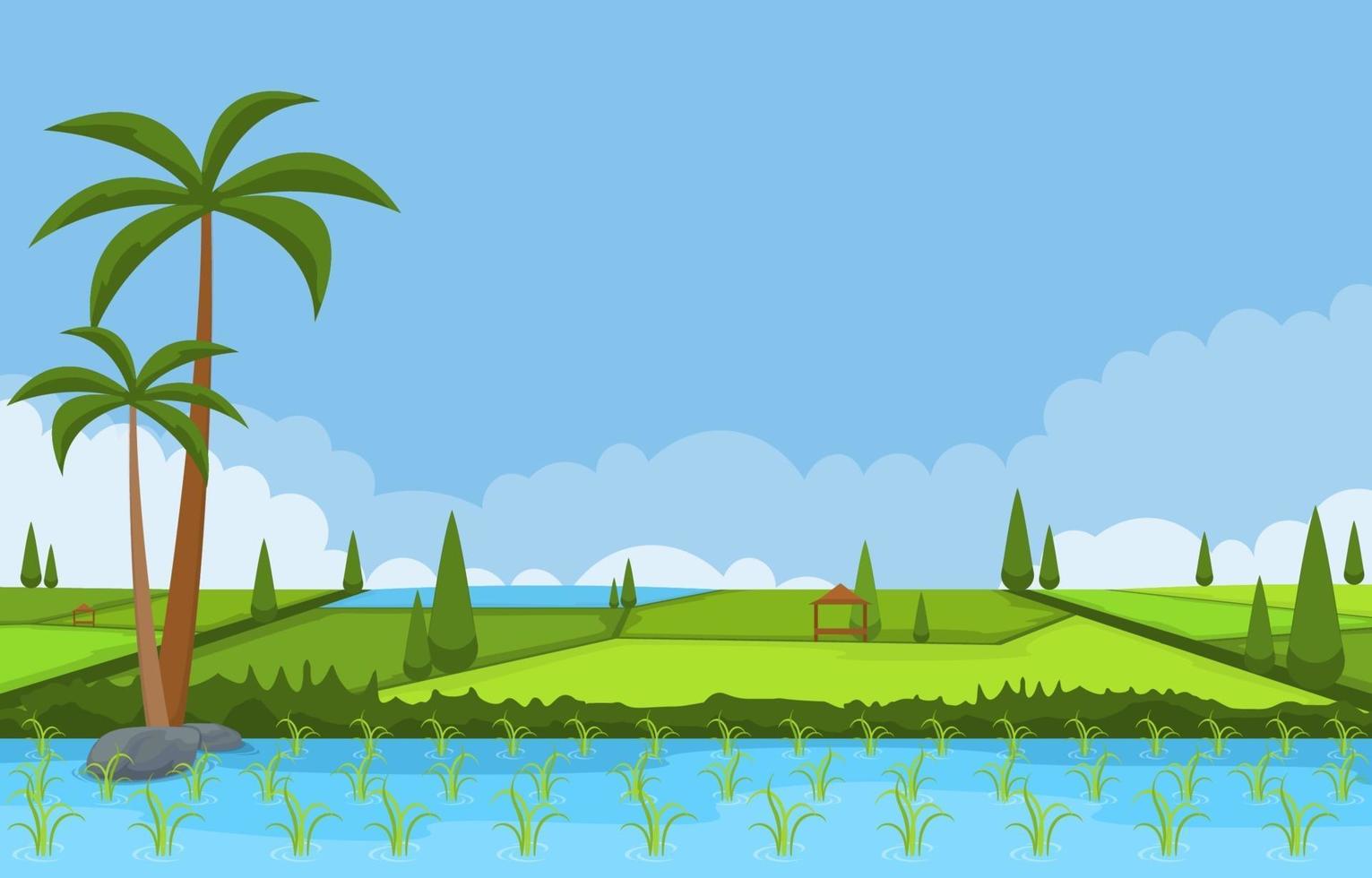 Rice Paddy Field Ready for Harvest Illustration vector