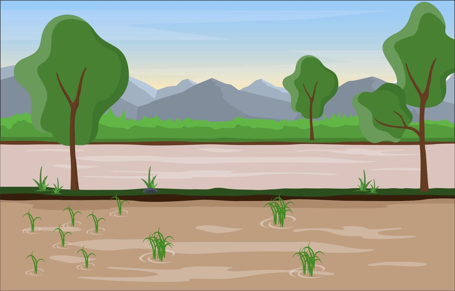 Rice Paddy Field Ready for Harvest Illustration vector