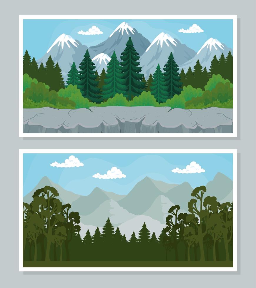 paisaje con pinos banner set diseño vectorial vector