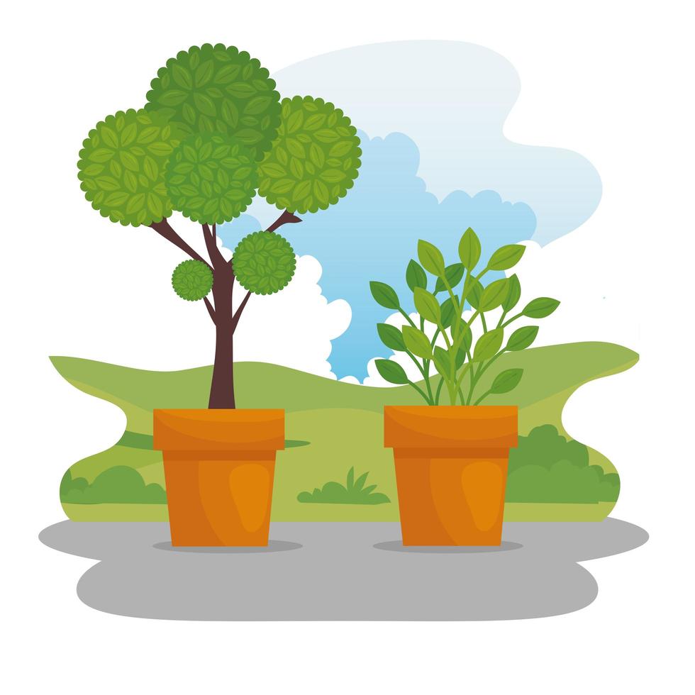 Potted plants outdoors vector