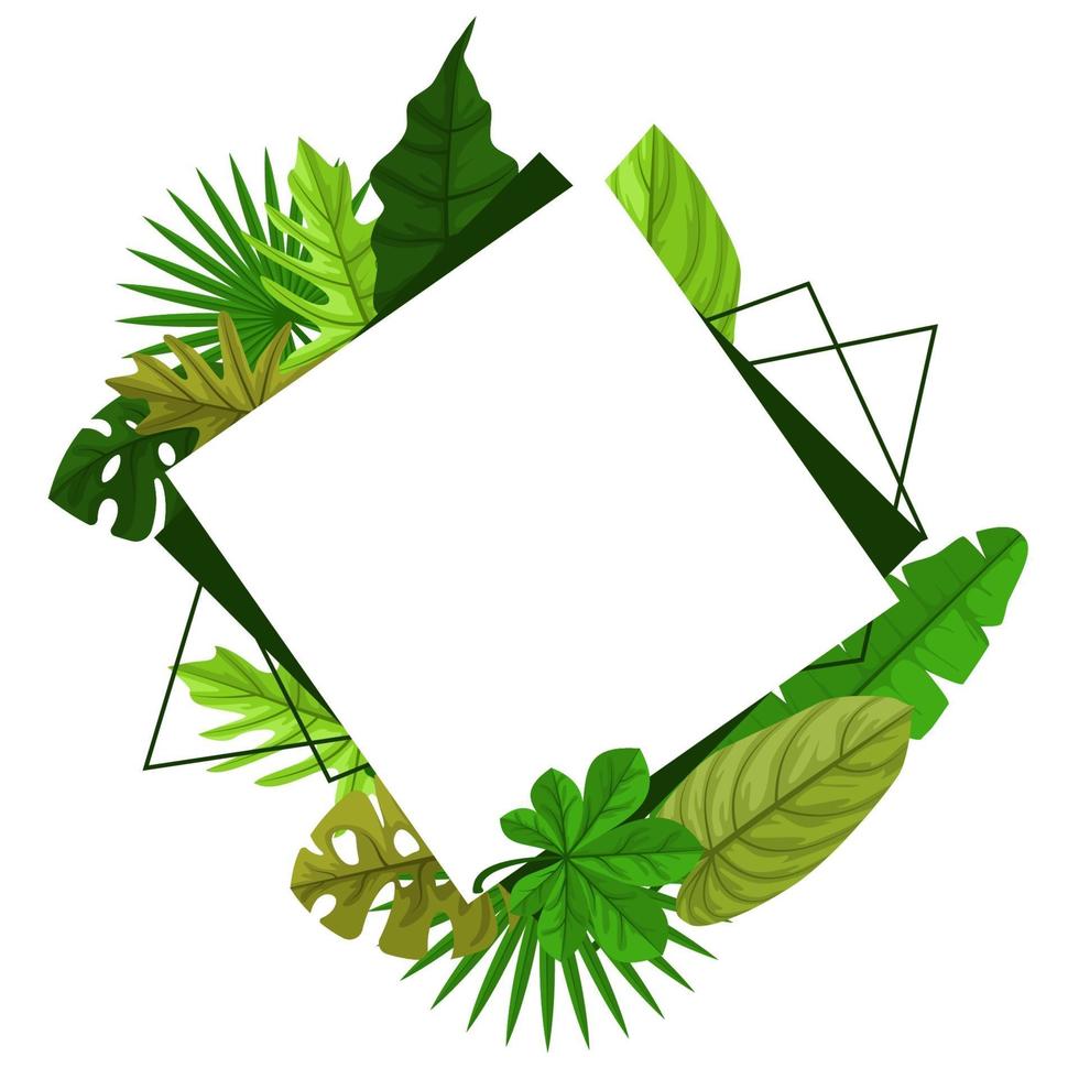 Square Background Template with Tropical Leaf Border vector