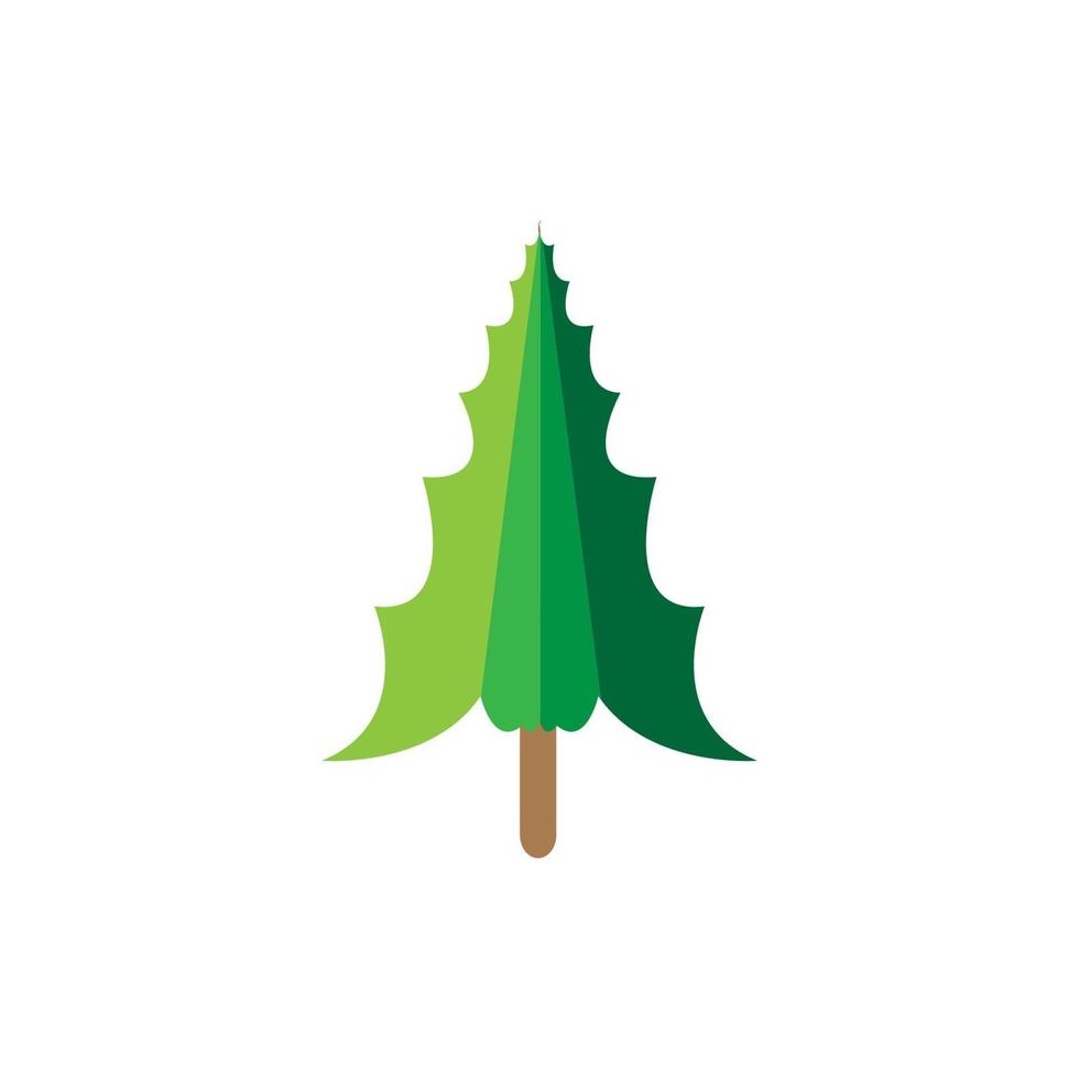 Cypress vector illustration