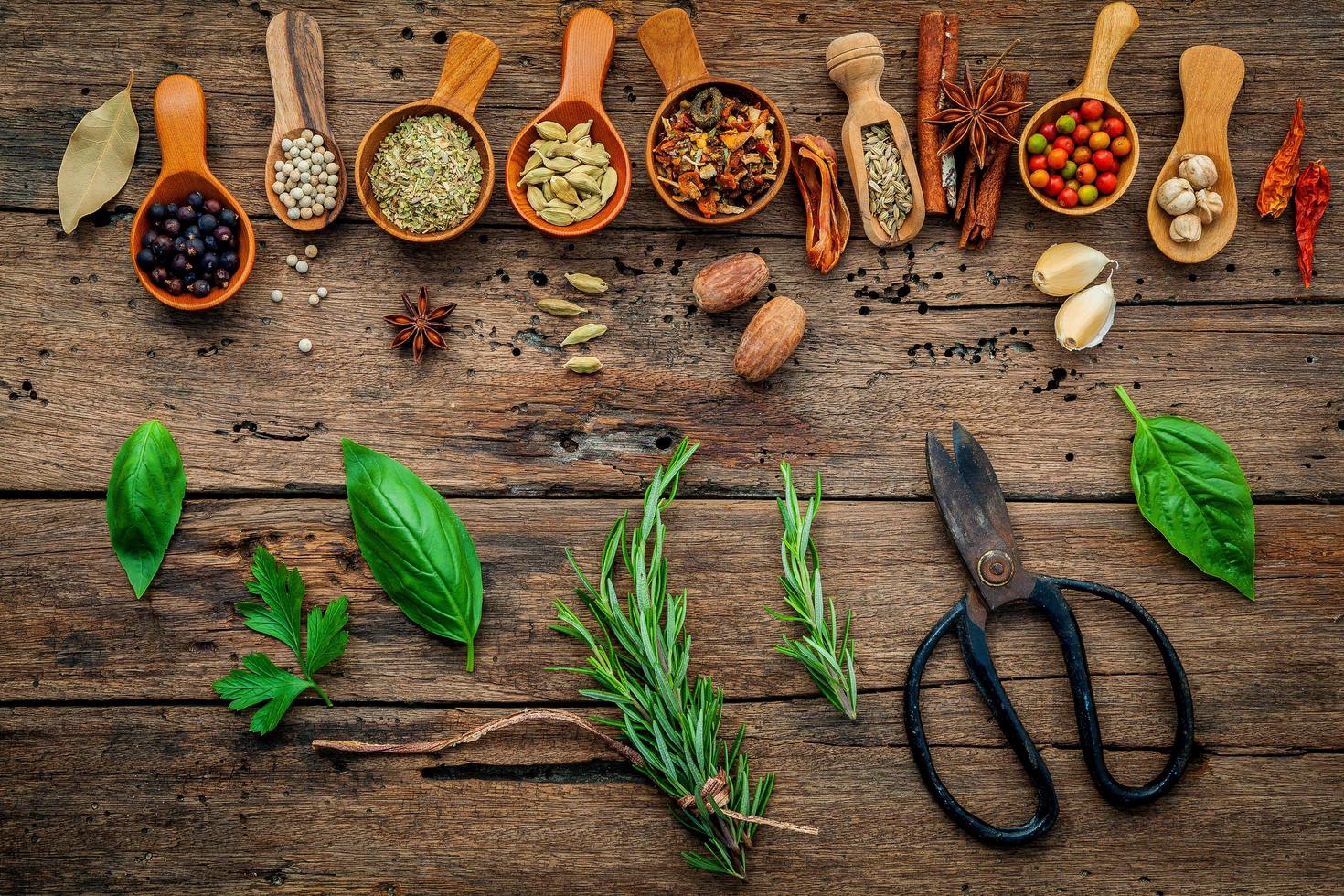 Fresh herbs with spices photo