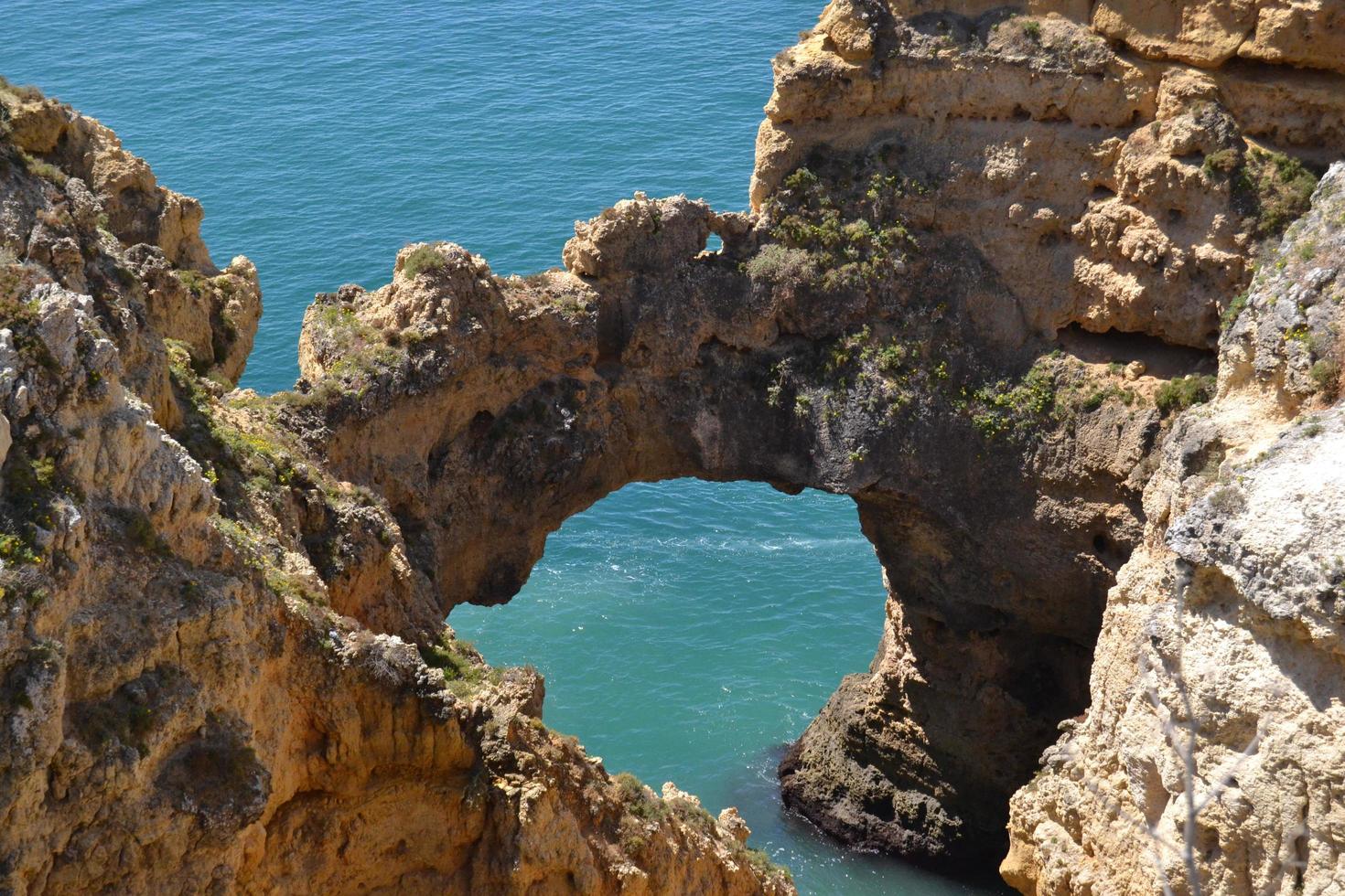 Coast of the Algarve photo