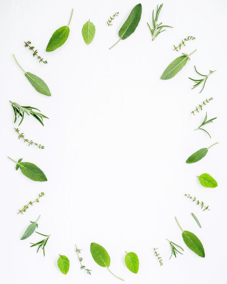 Circle of green herbs photo