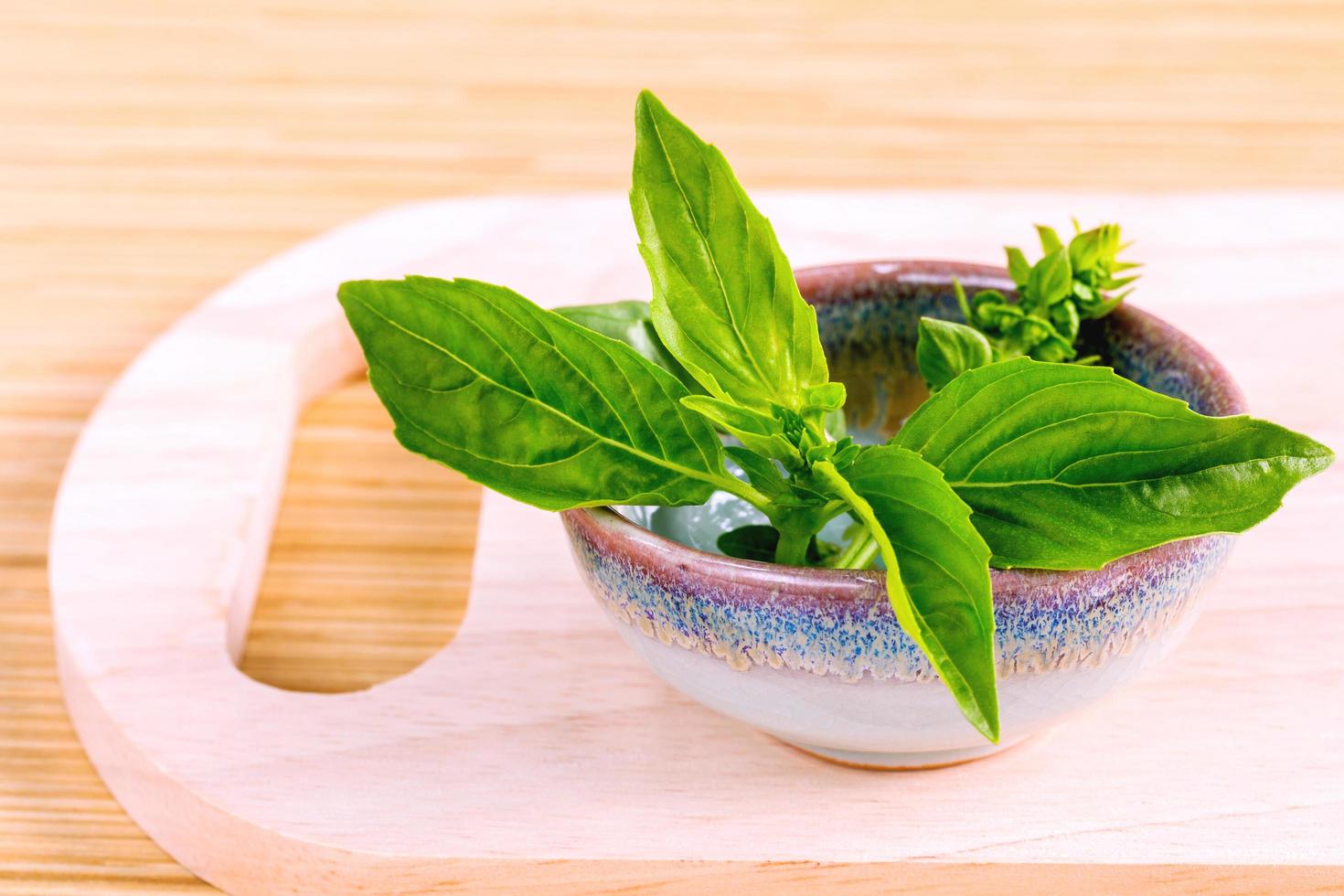 Fresh basil in a ceramic bowl photo