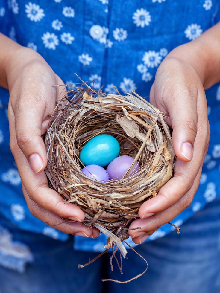 Person holding a nest of eggs photo