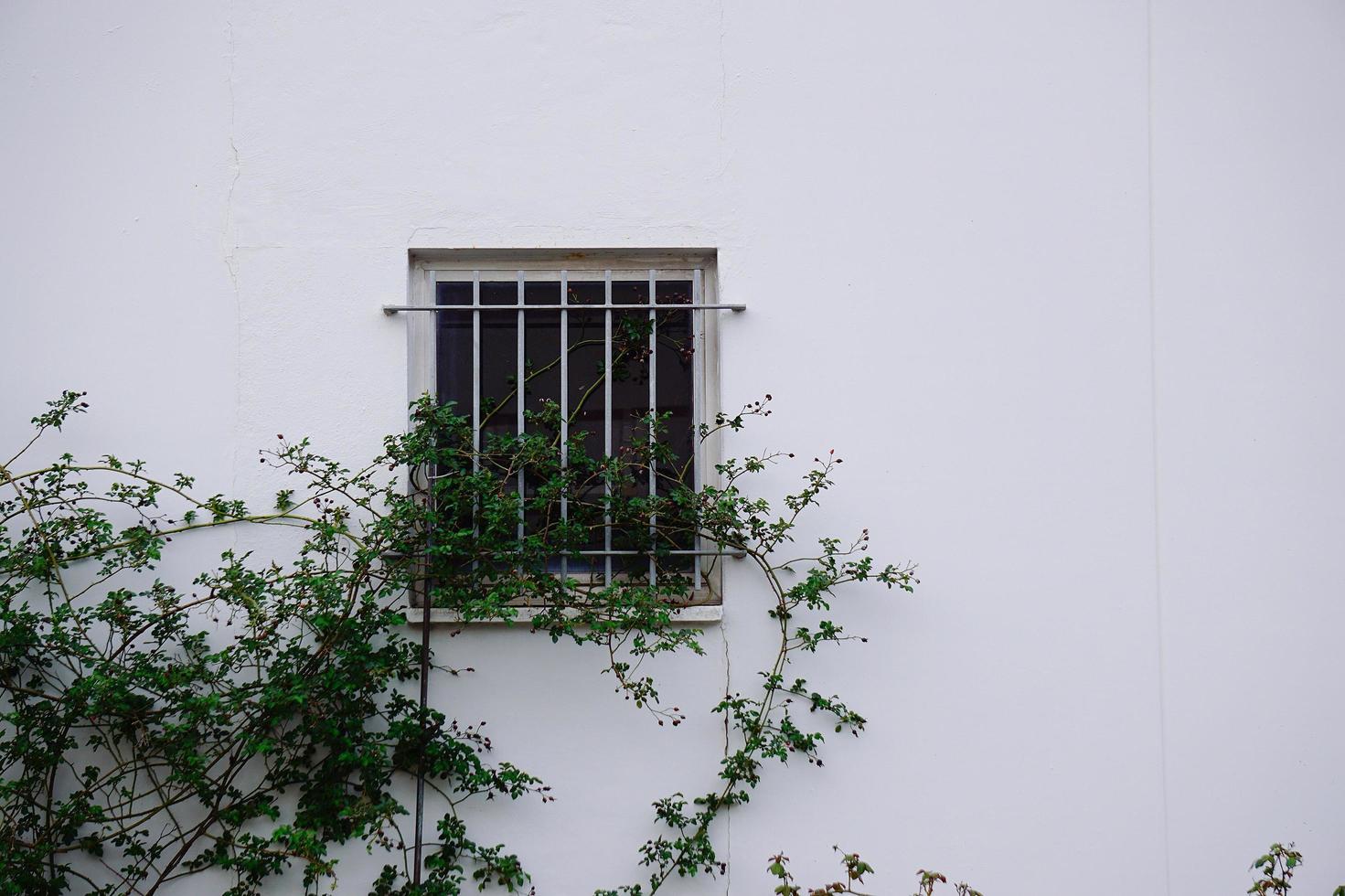 Ventanas en la fachada blanca de la casa en la ciudad de Bilbao, España foto