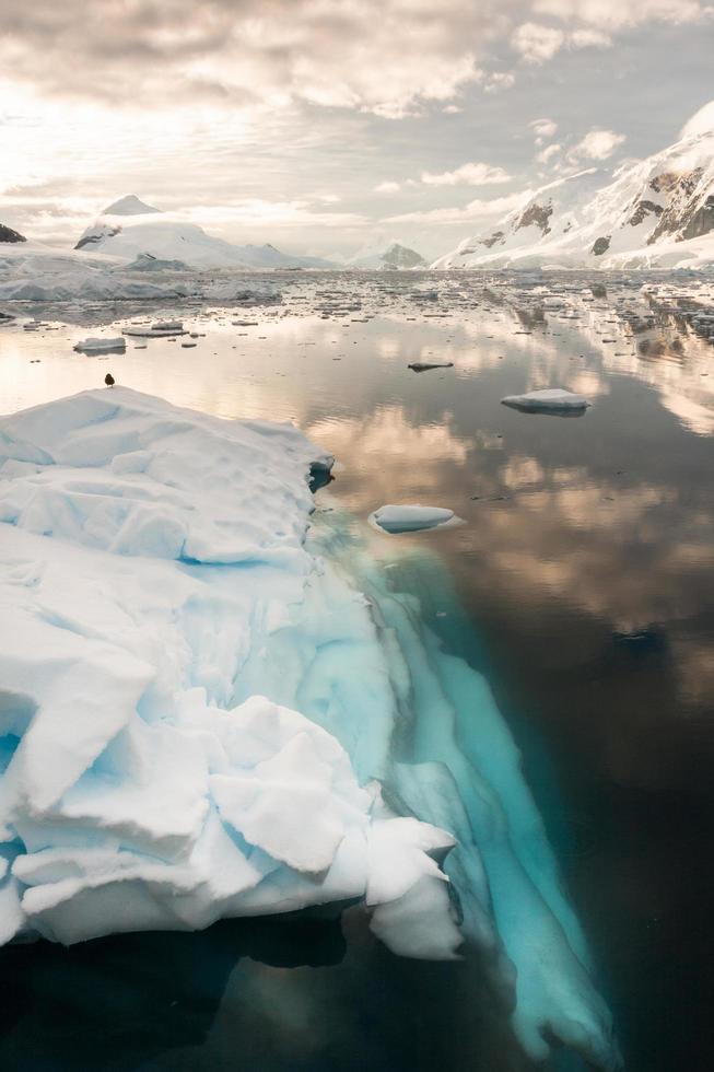 Paradise Bay in Antarctica photo