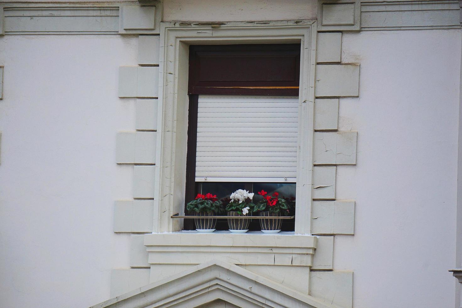 Windows on the white facade of the house in Bilbao city, Spain photo