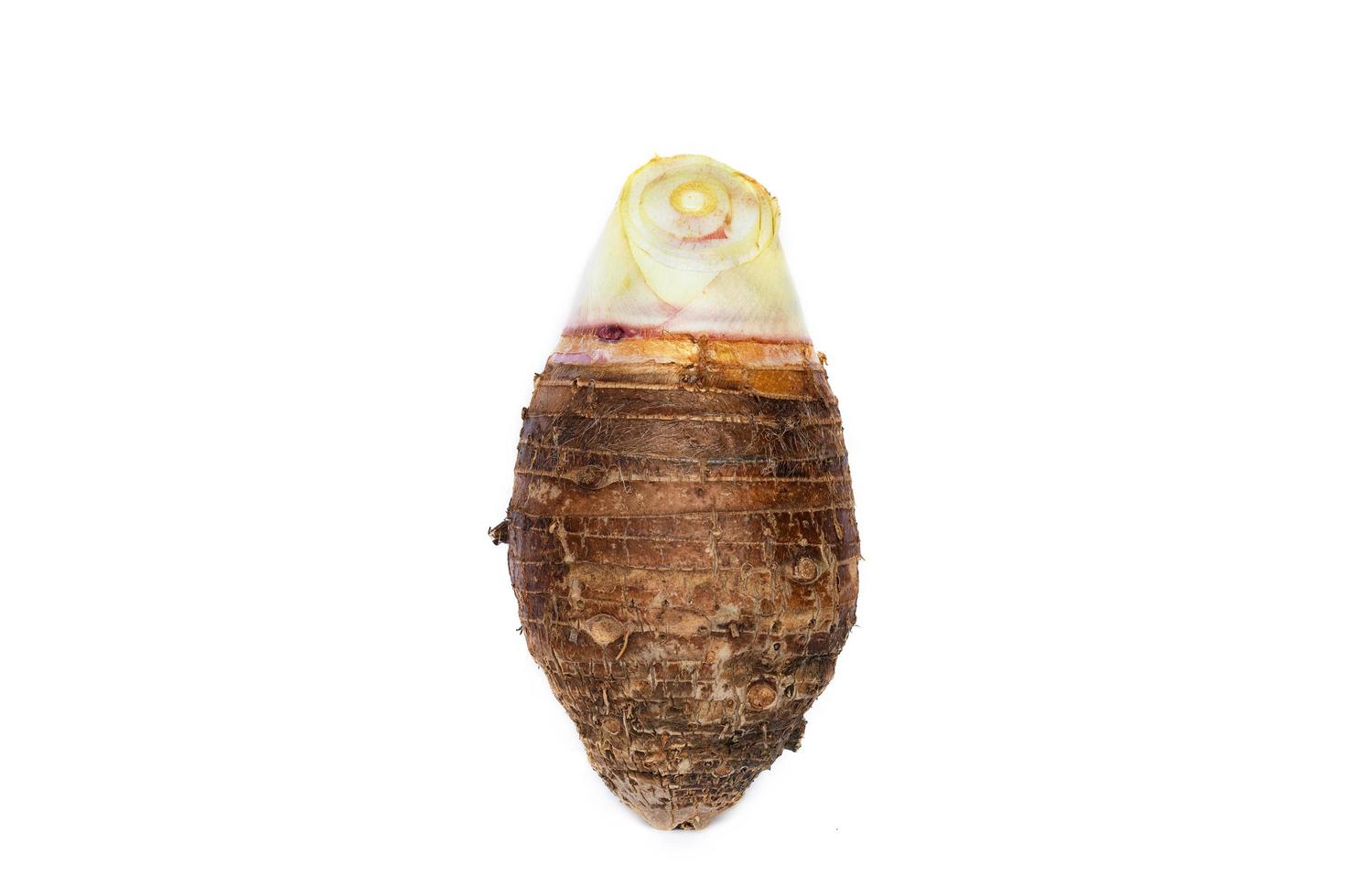 Taro isolated on white background photo