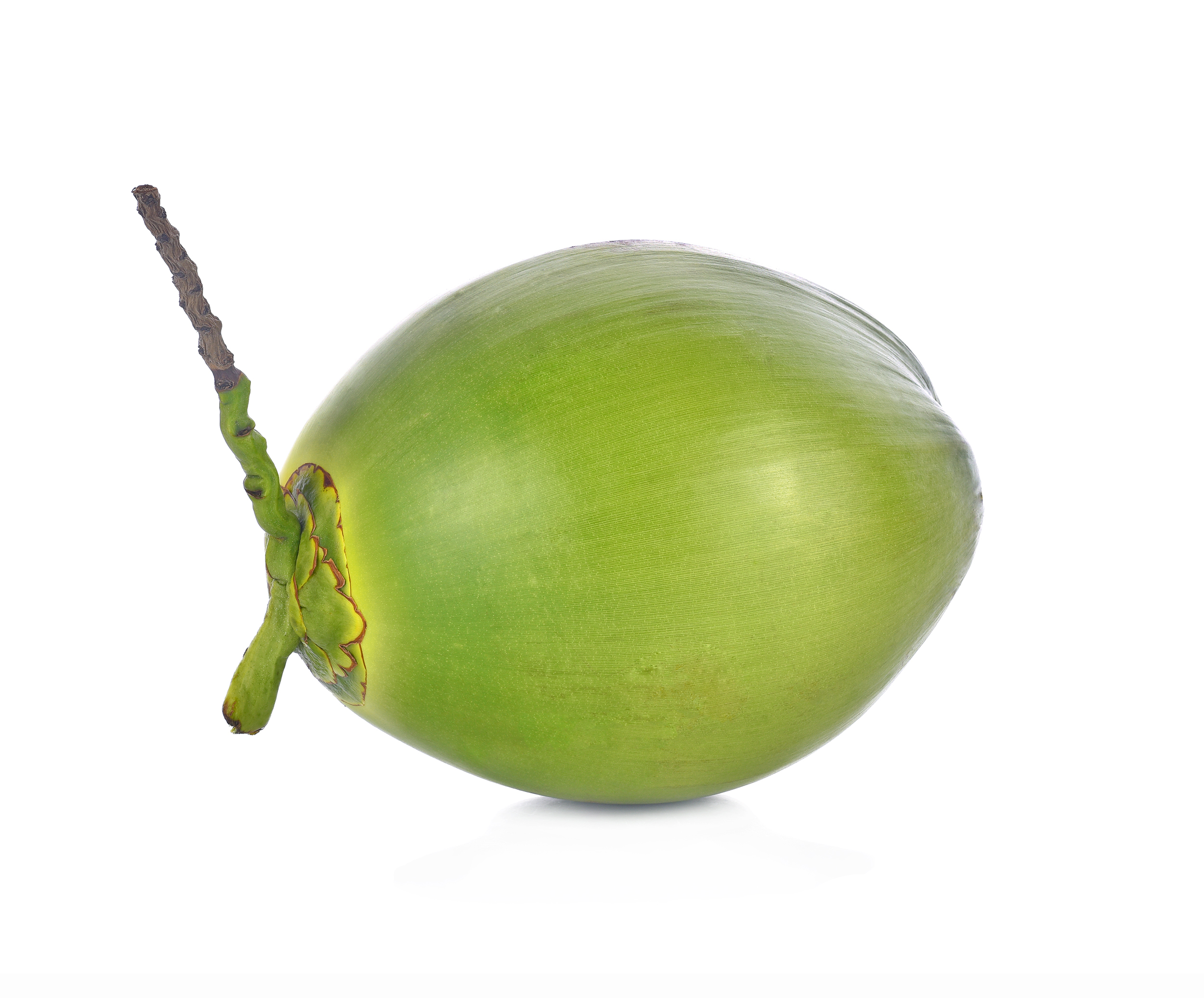 Green Coconut Stock Photos, Images and Backgrounds for Free Download