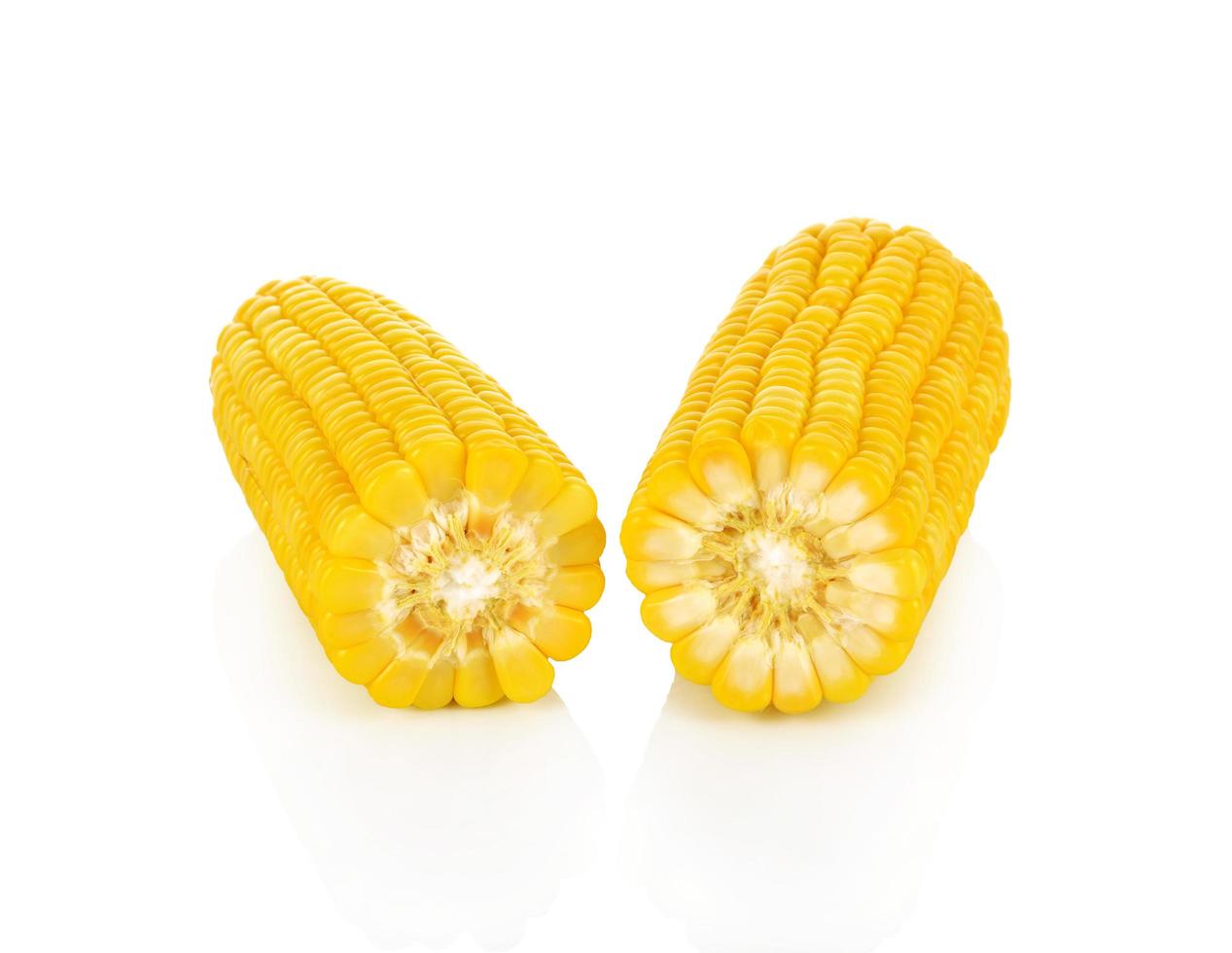 Corn on a white background photo