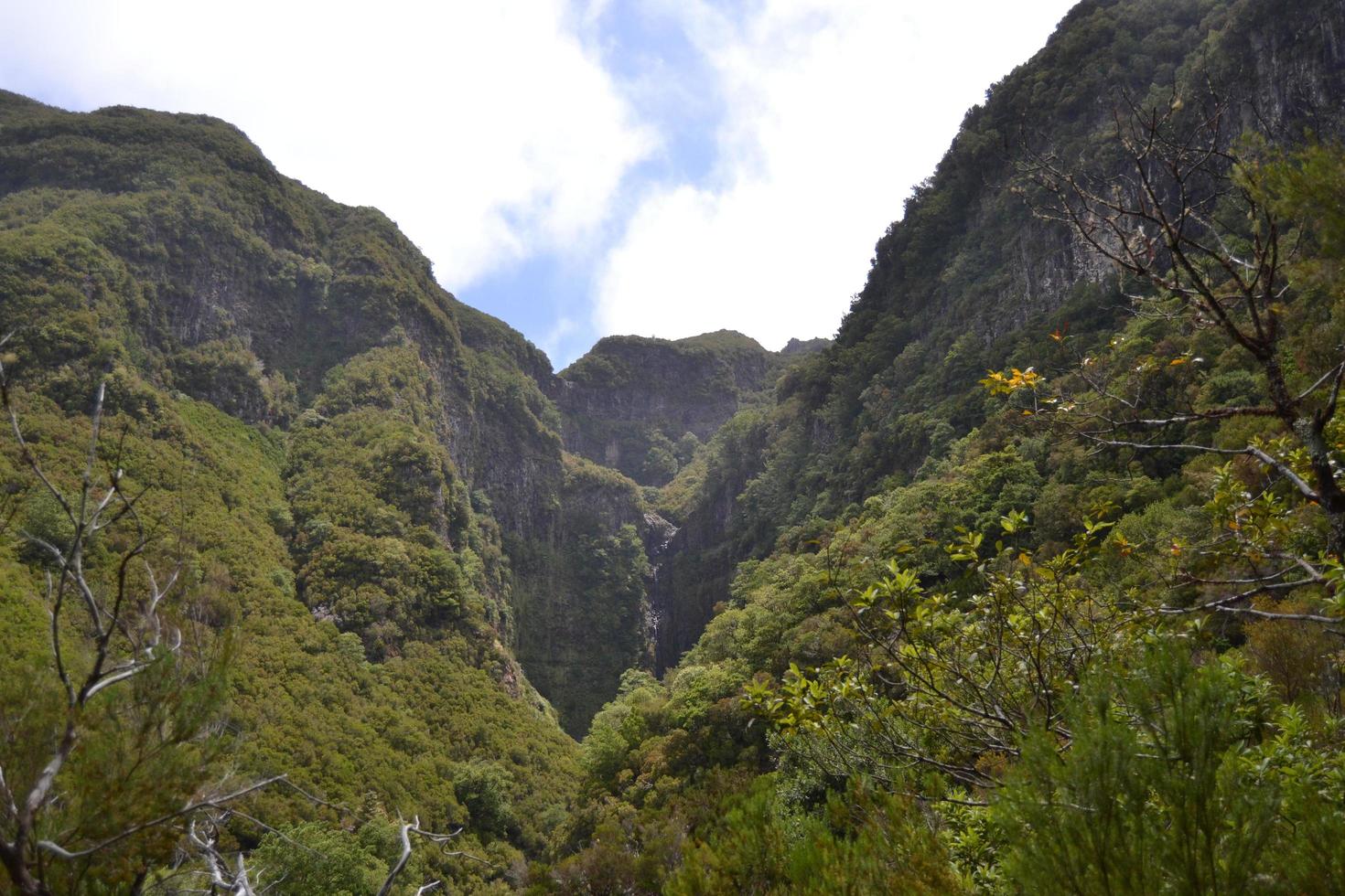 View of the mountain on the island of Madeira, Portugal photo