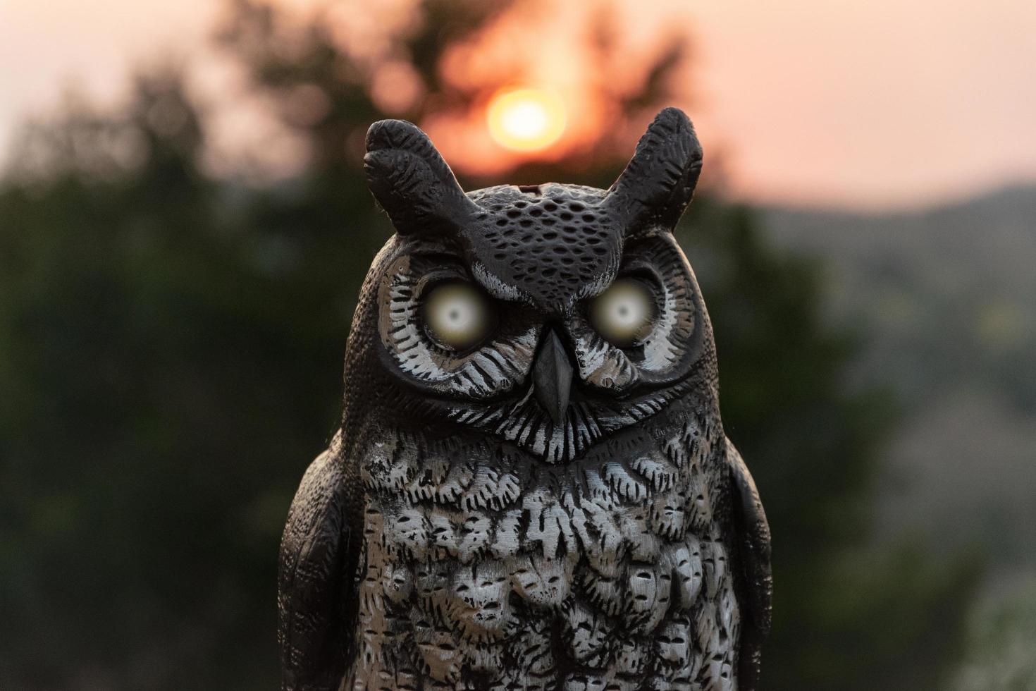 Black and white owl statue during daytime photo