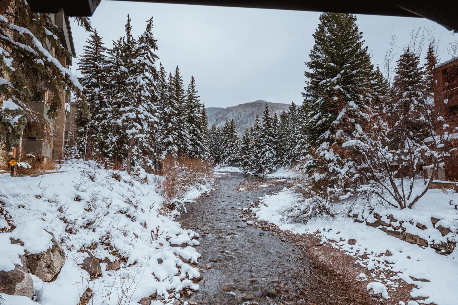 invierno en colorado springs foto