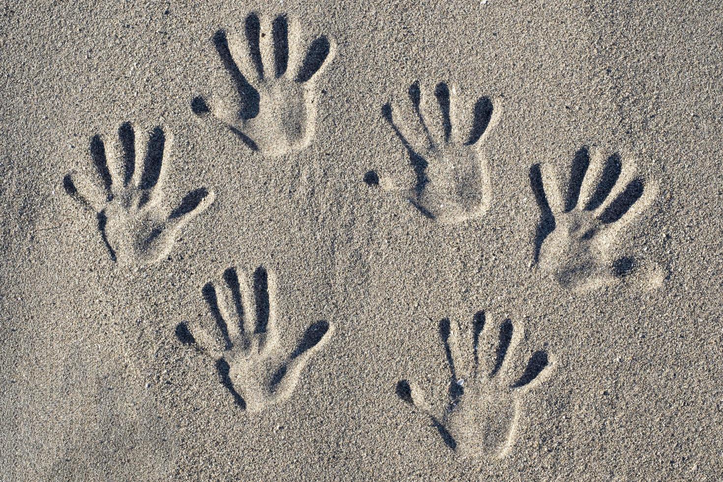 huellas de manos grabadas en la arena de la playa foto