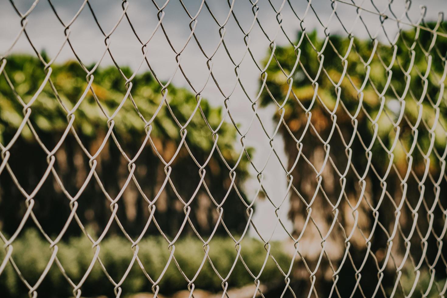 Grey metal fence with green grass field photo