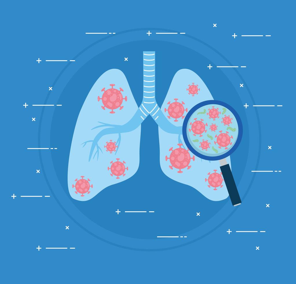 infected lungs with covid19 and magnifying glass vector