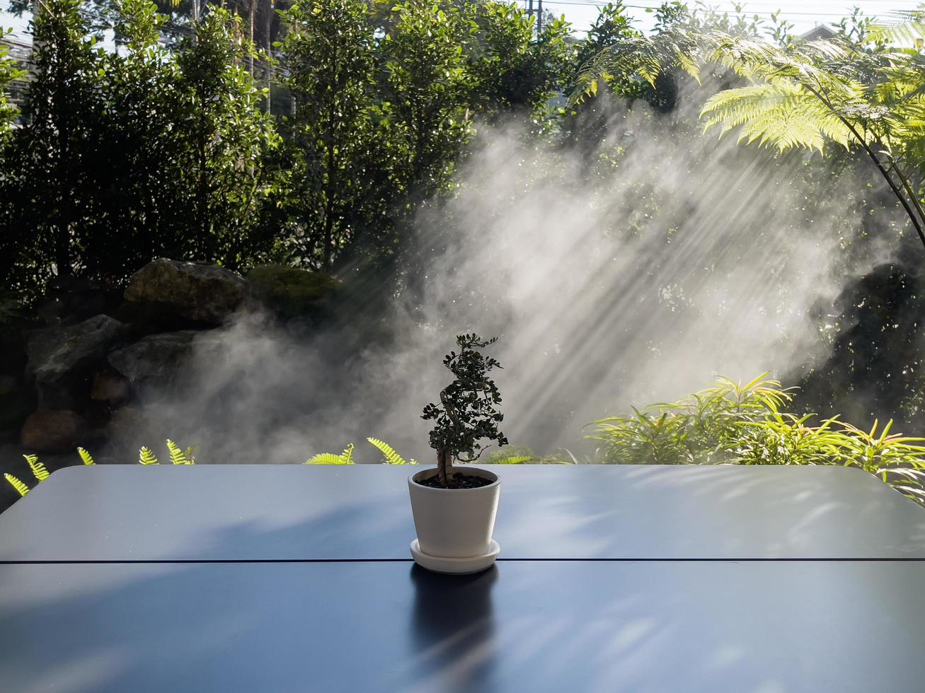 Table of free space with green plant photo