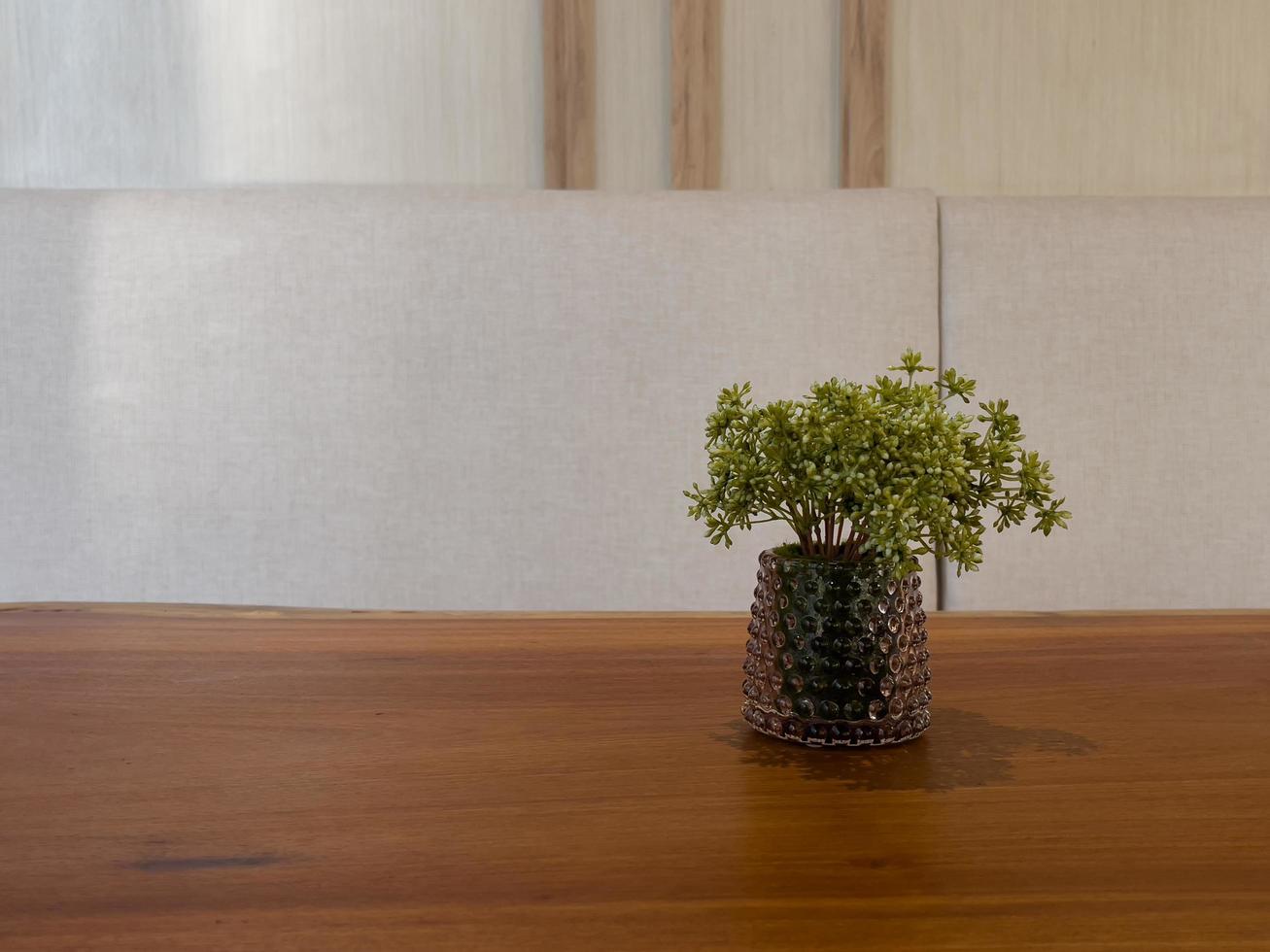 mesa de espacio libre con planta verde foto