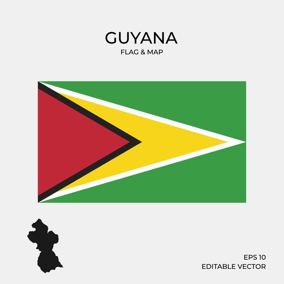 bandera y mapa de guyana vector