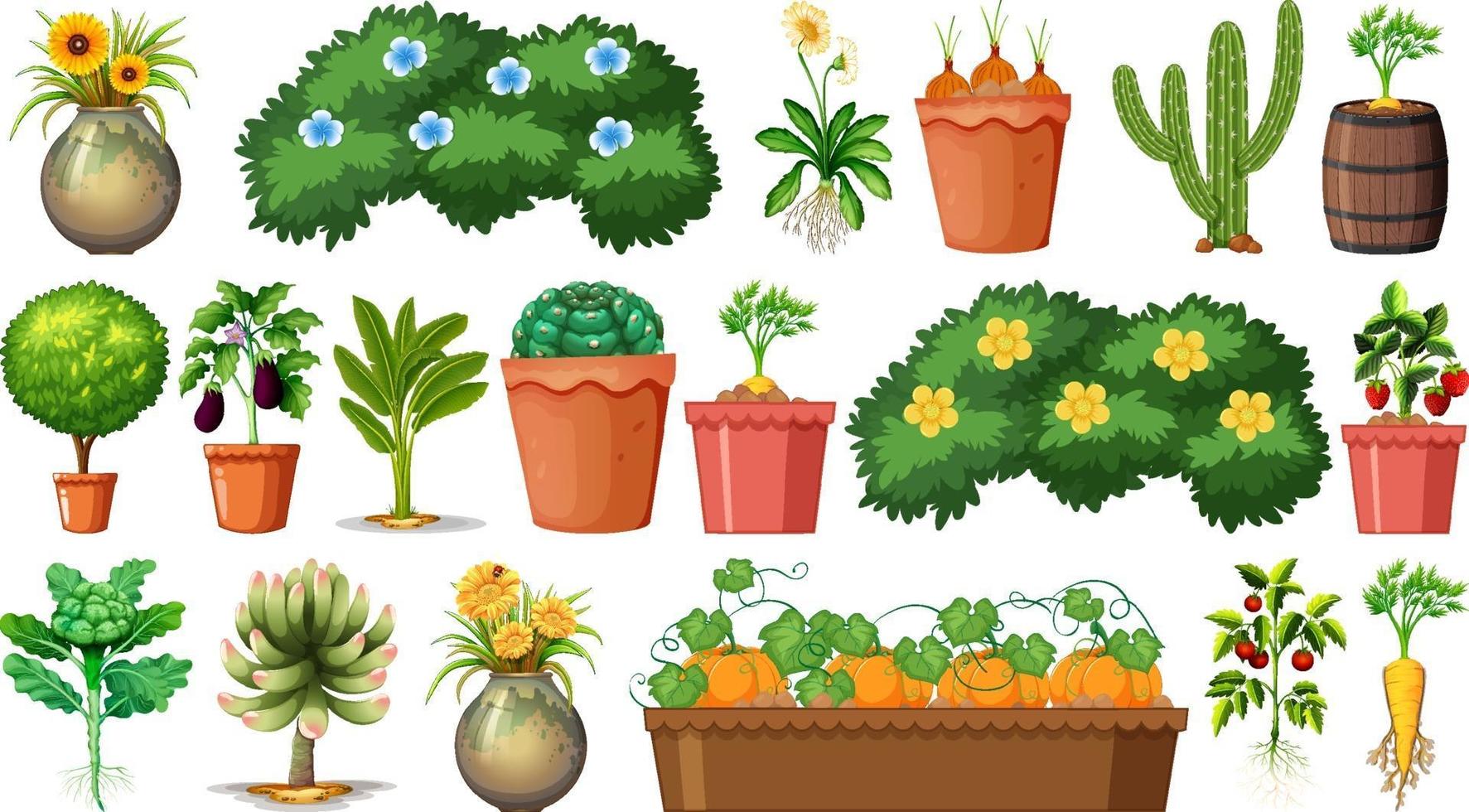 Conjunto de diferentes plantas en macetas aislado sobre fondo blanco. vector