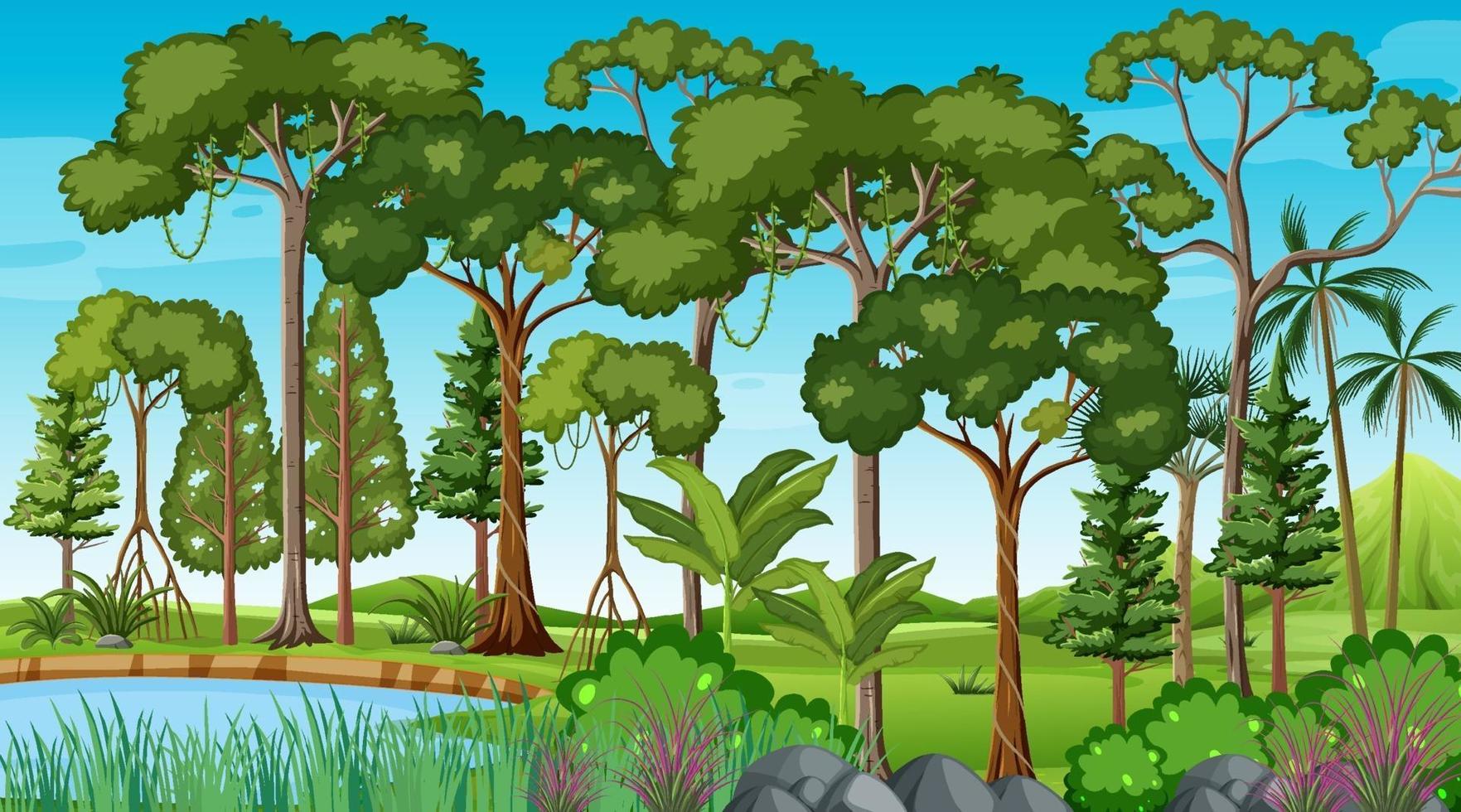 Forest scene with pond and many trees vector